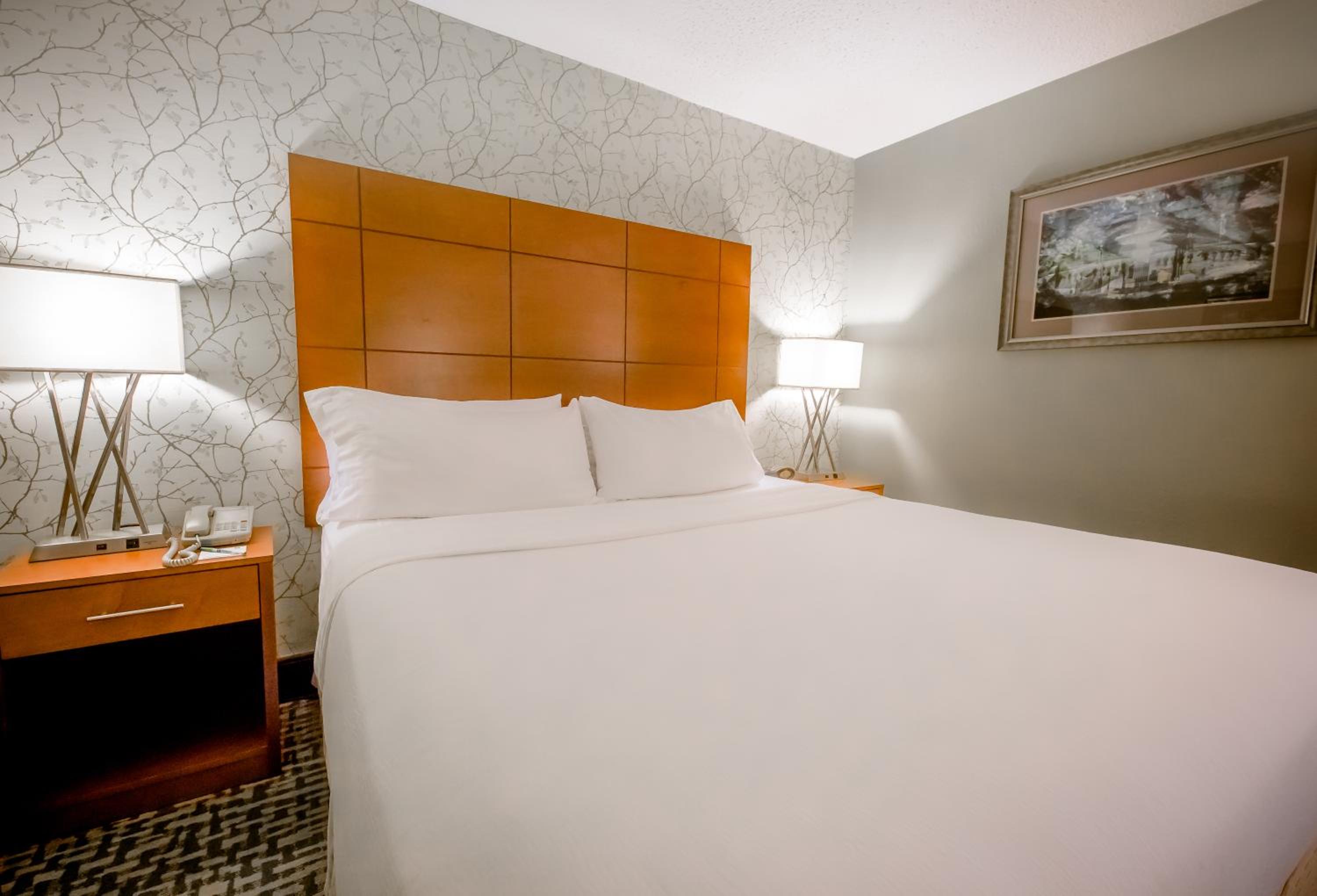 King Suite With Sofa Bed - Hearing Accessible photo 1