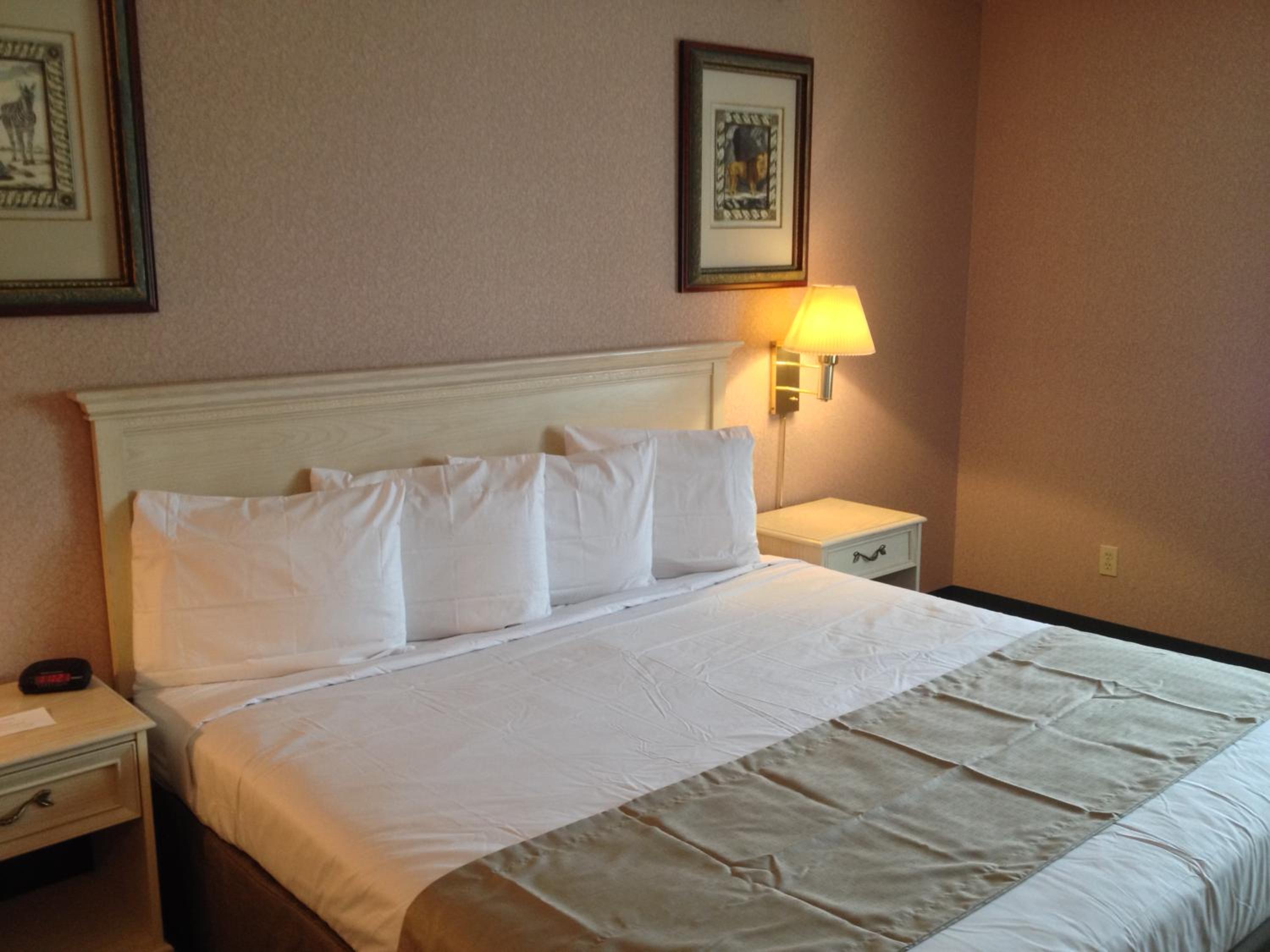 Standard King Room - Photo 2