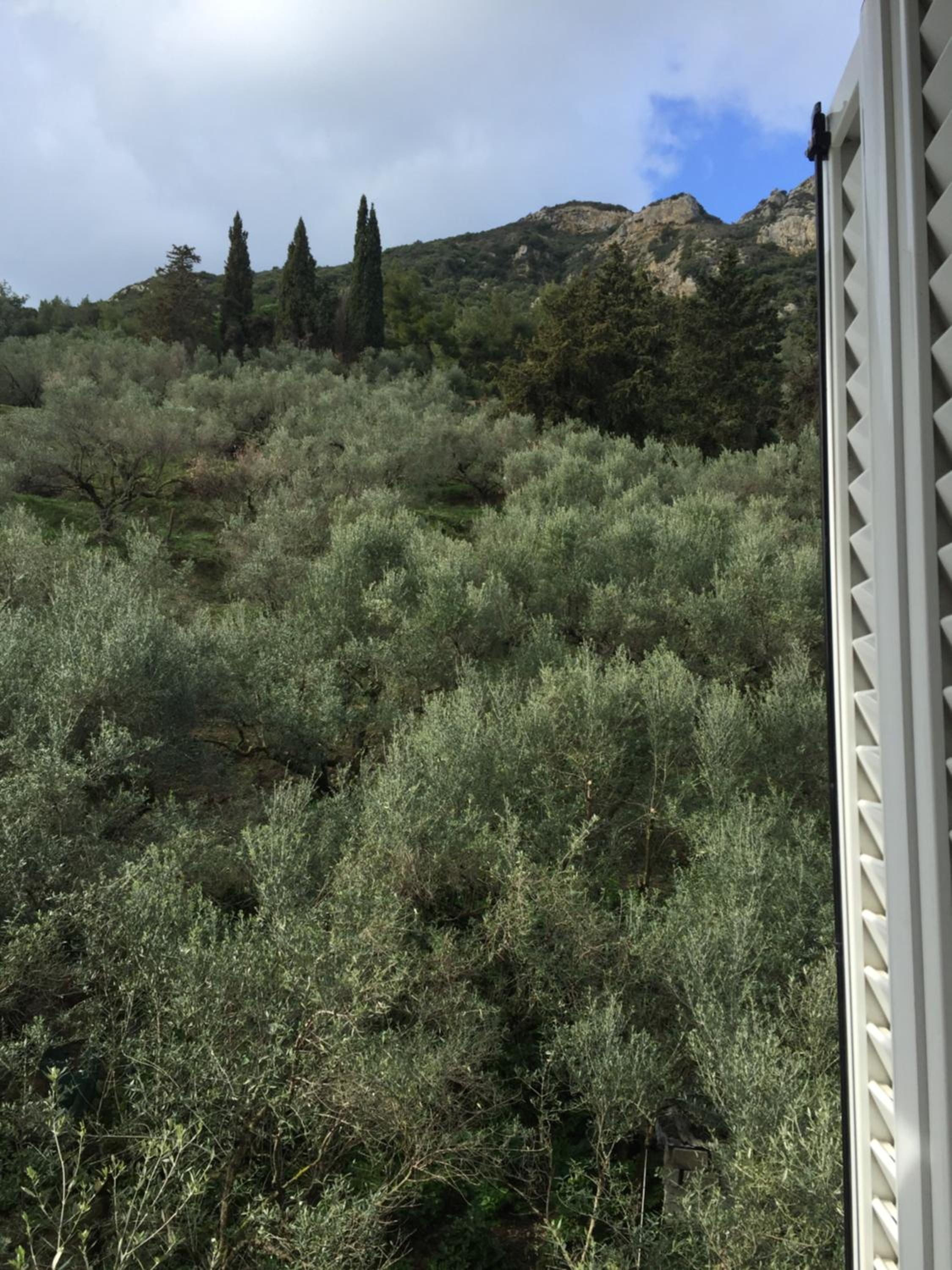 Studio with Mountain View - Photo 6