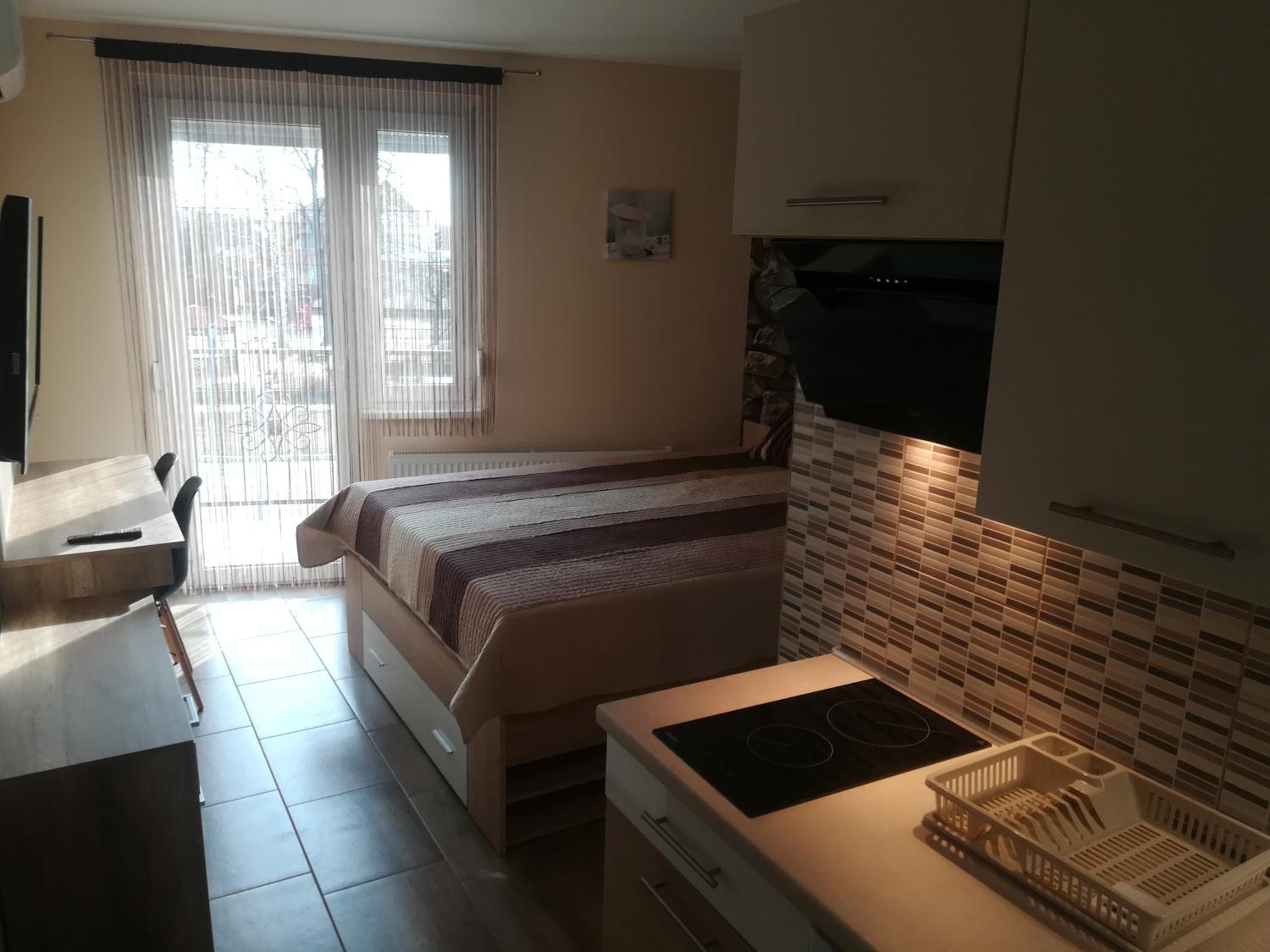 Deluxe Apartment - Photo 9