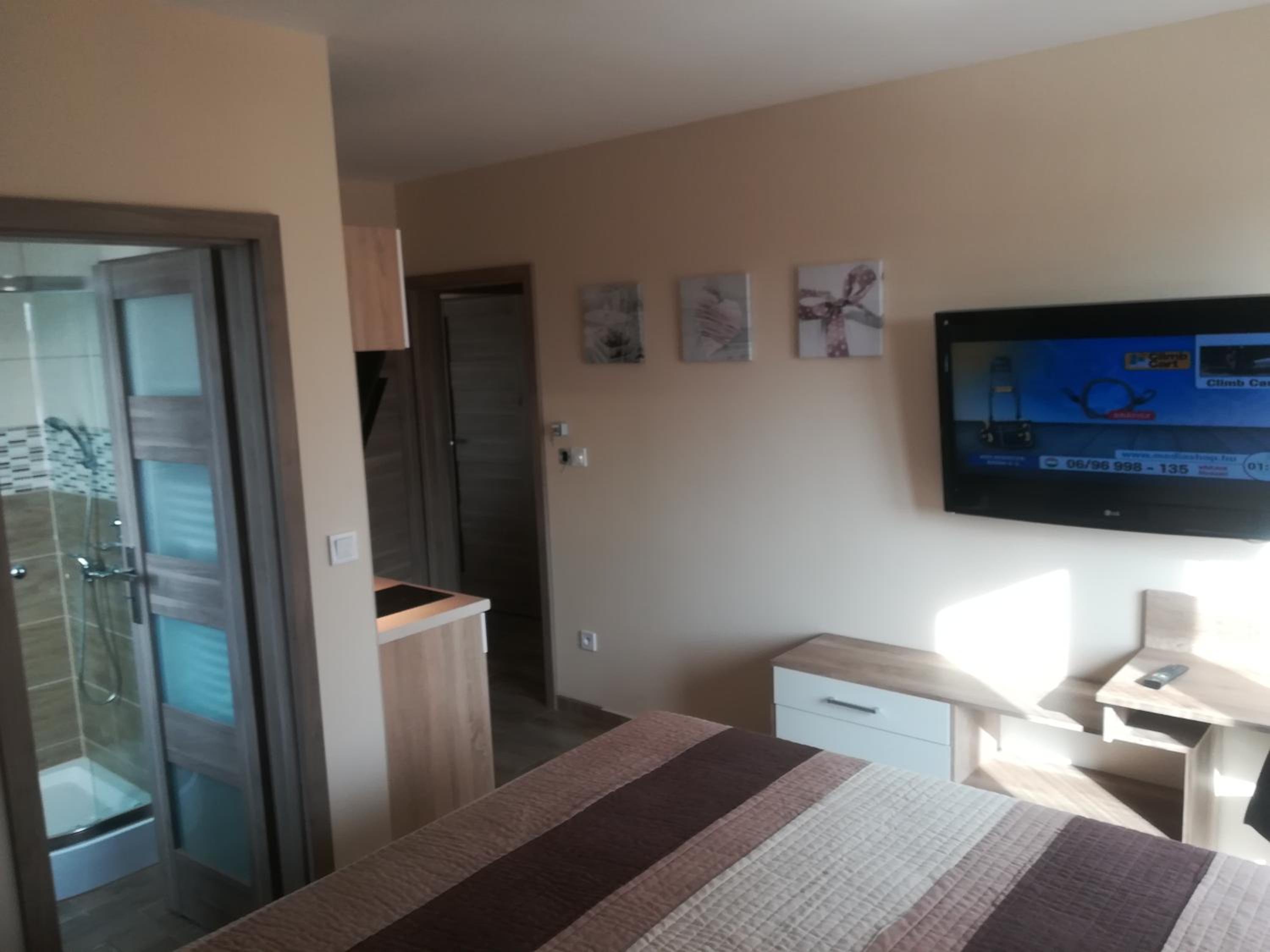 Deluxe Apartment - Photo 11