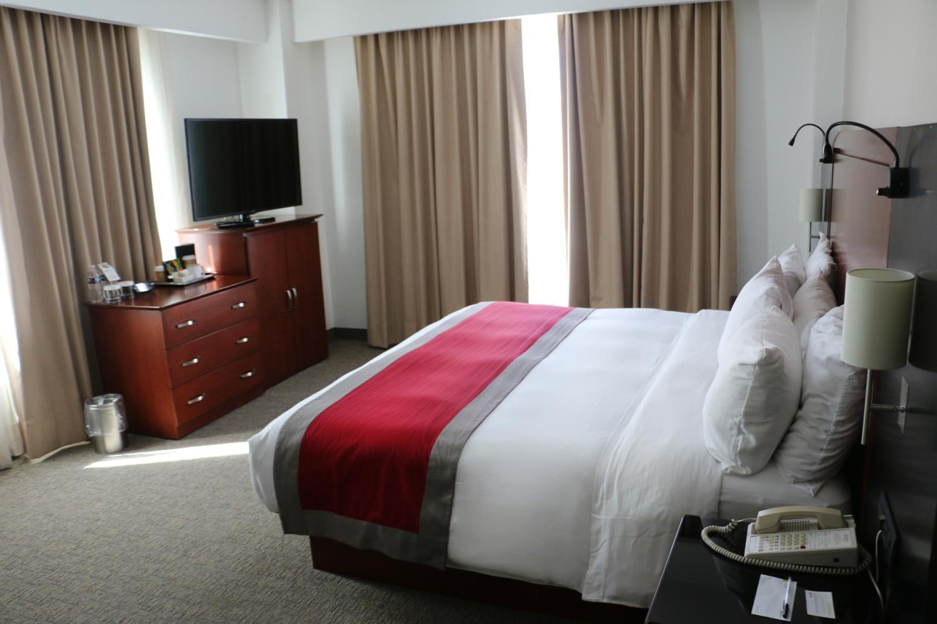 Premium King Room photo 2