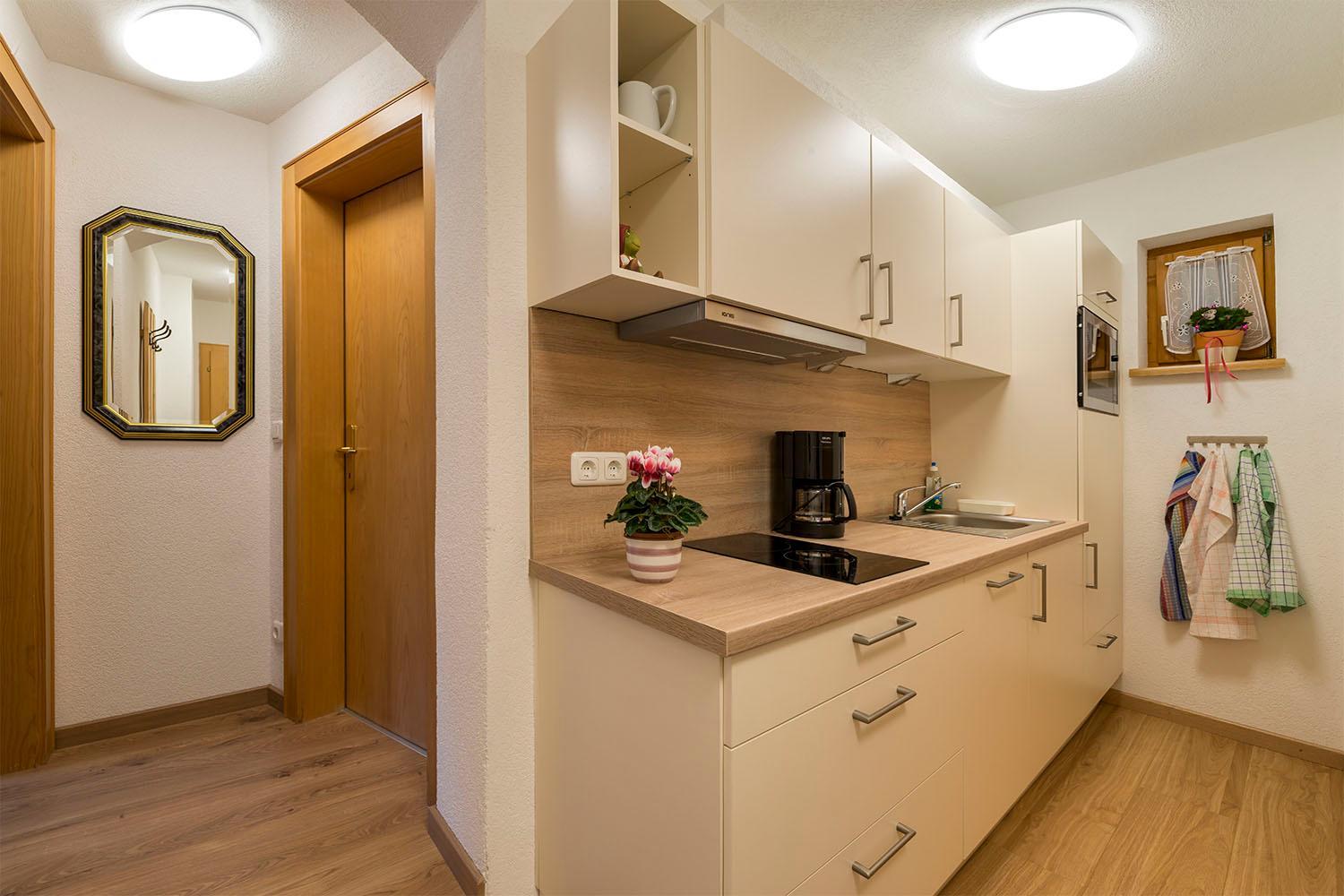 Comfort One Bedroom Apartment photo 2
