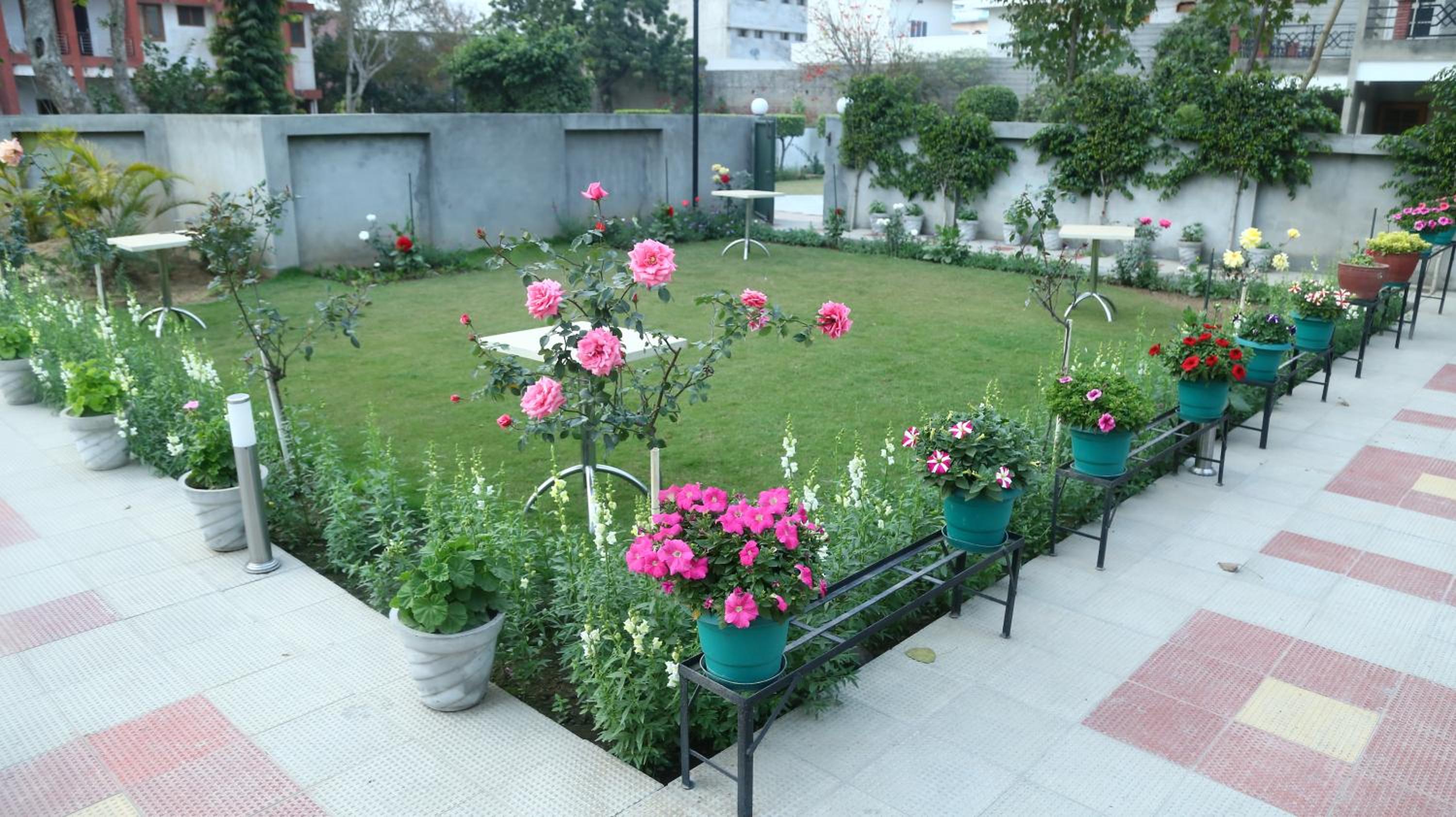 King Room with Garden View - Photo 9