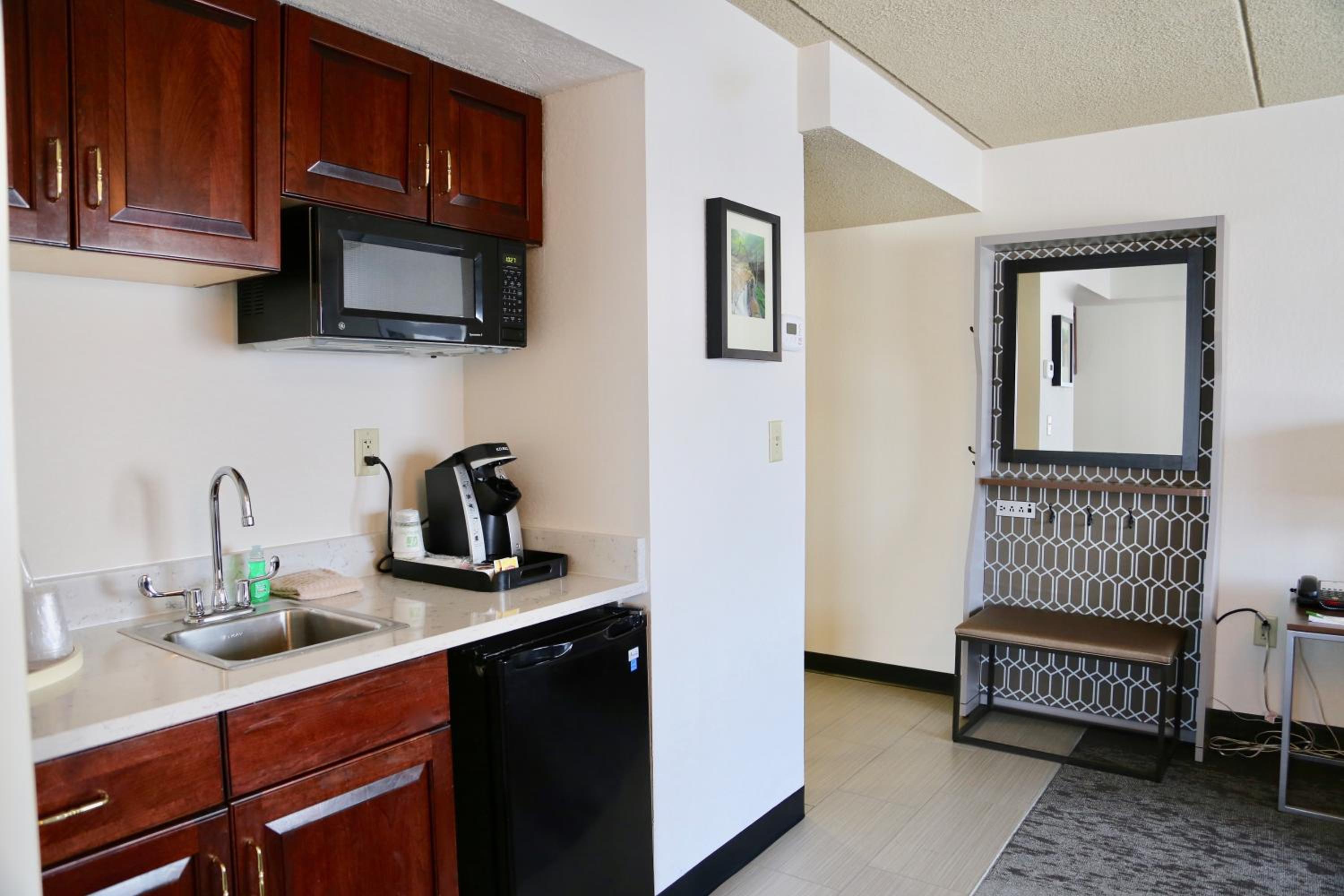 One-Bedroom King Suite - Photo 6