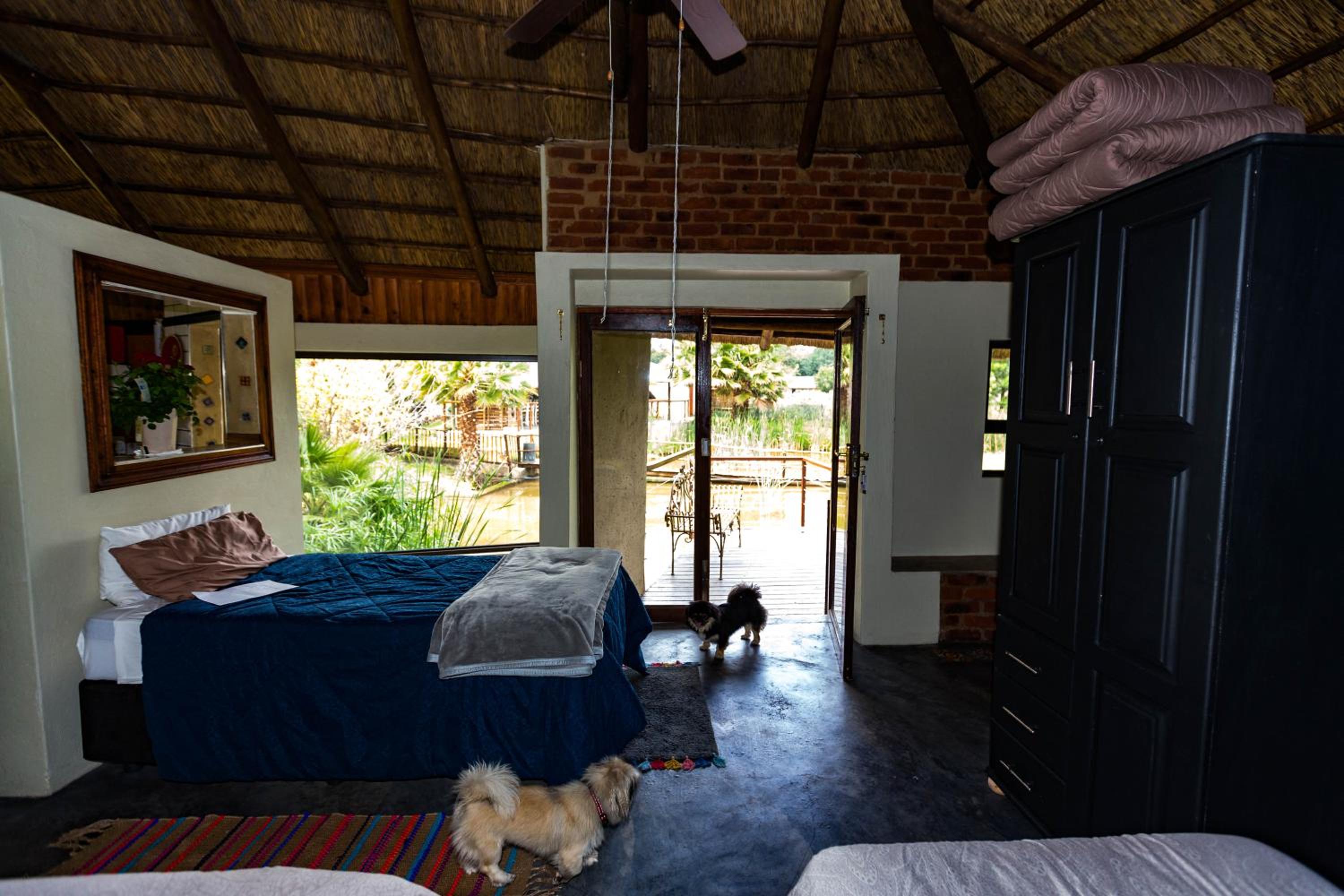 Bungalow - Water Front  - Photo 3