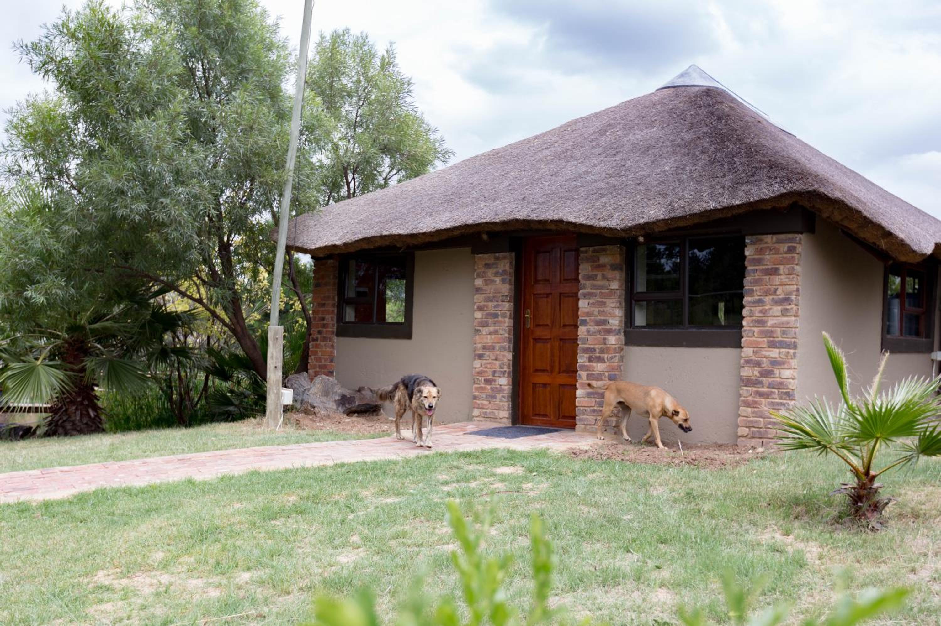 Bungalow - Water Front  - Photo 2