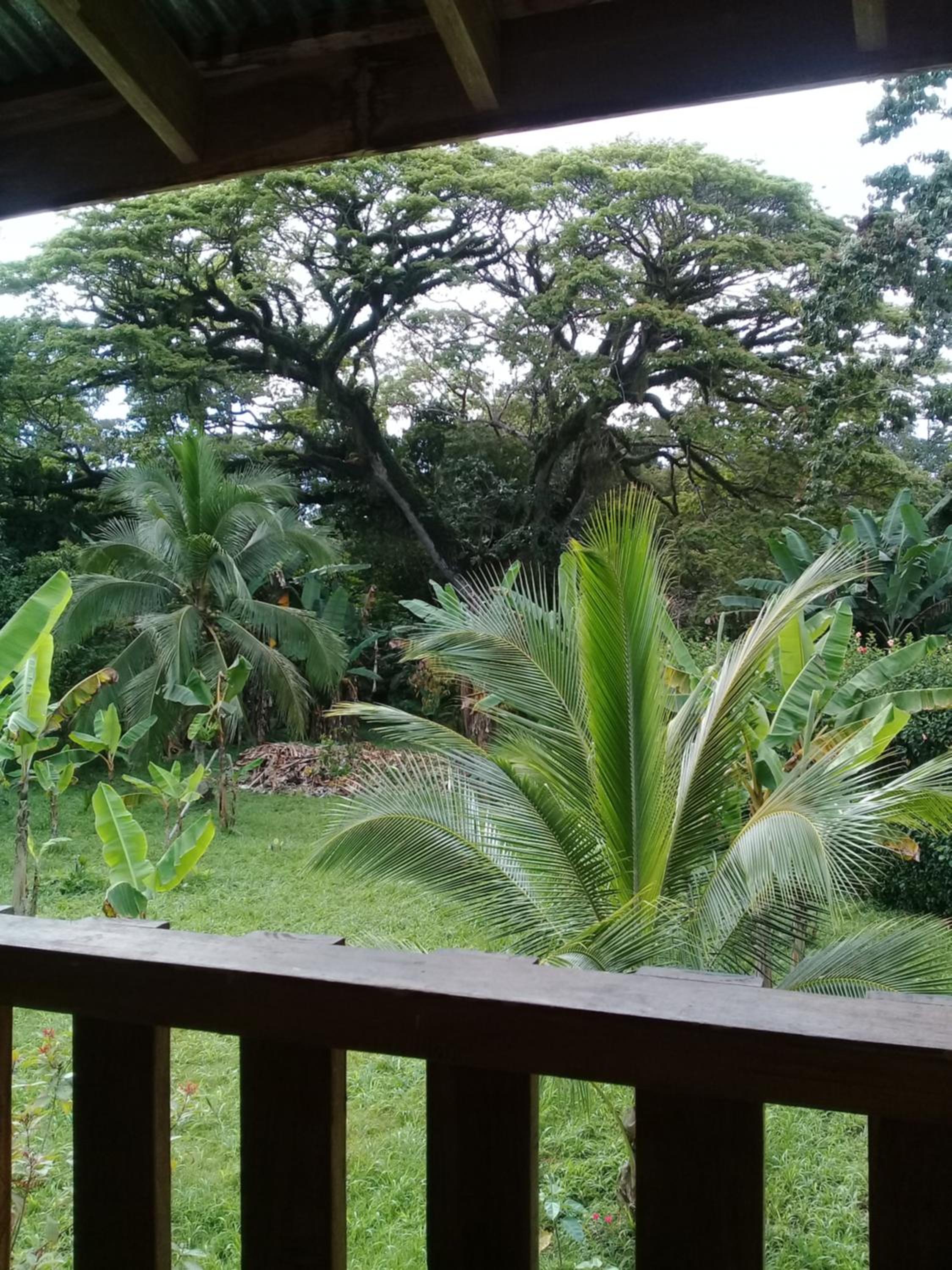 Studio With Balcony photo 3