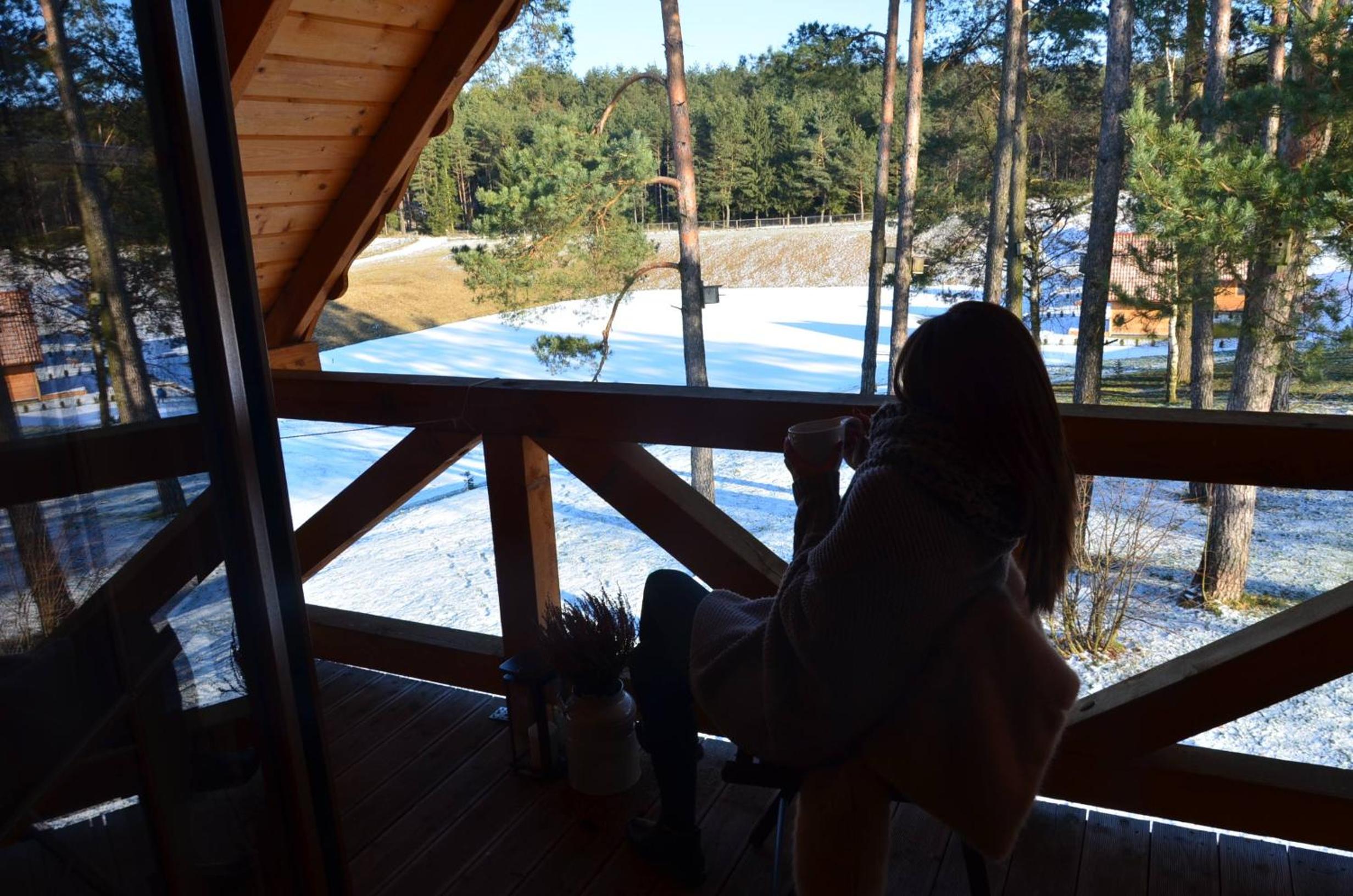 Chalet photo 1