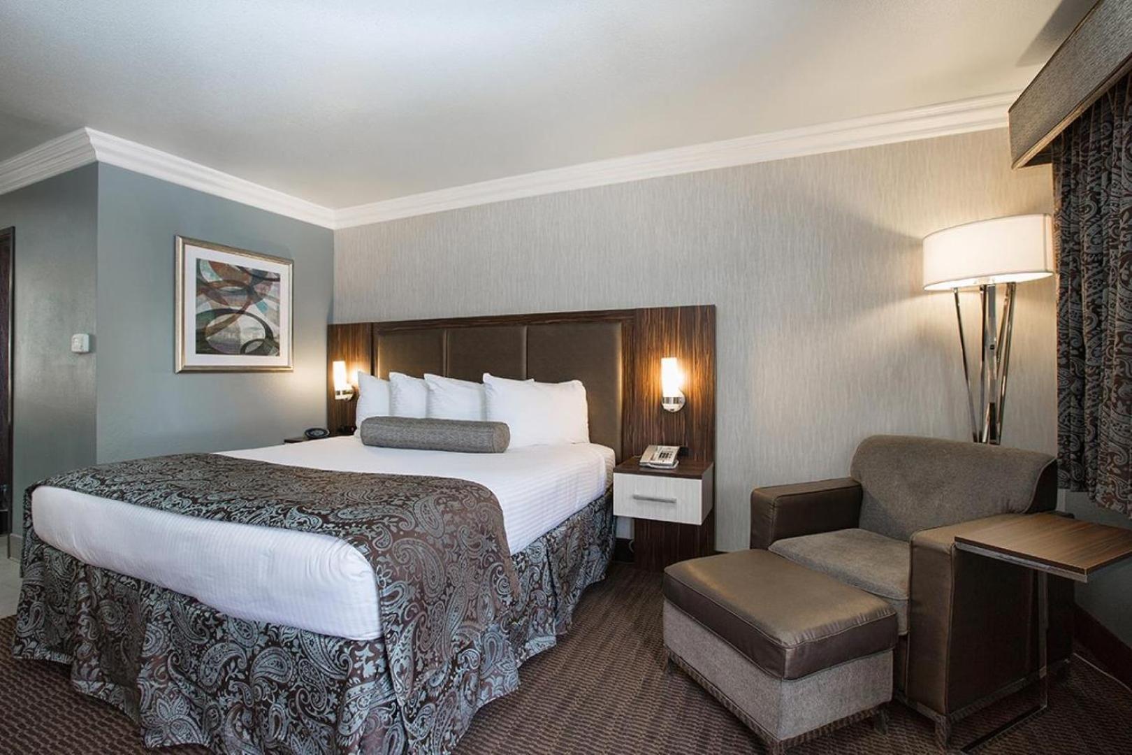 King Room - Non-Smoking - Photo 4