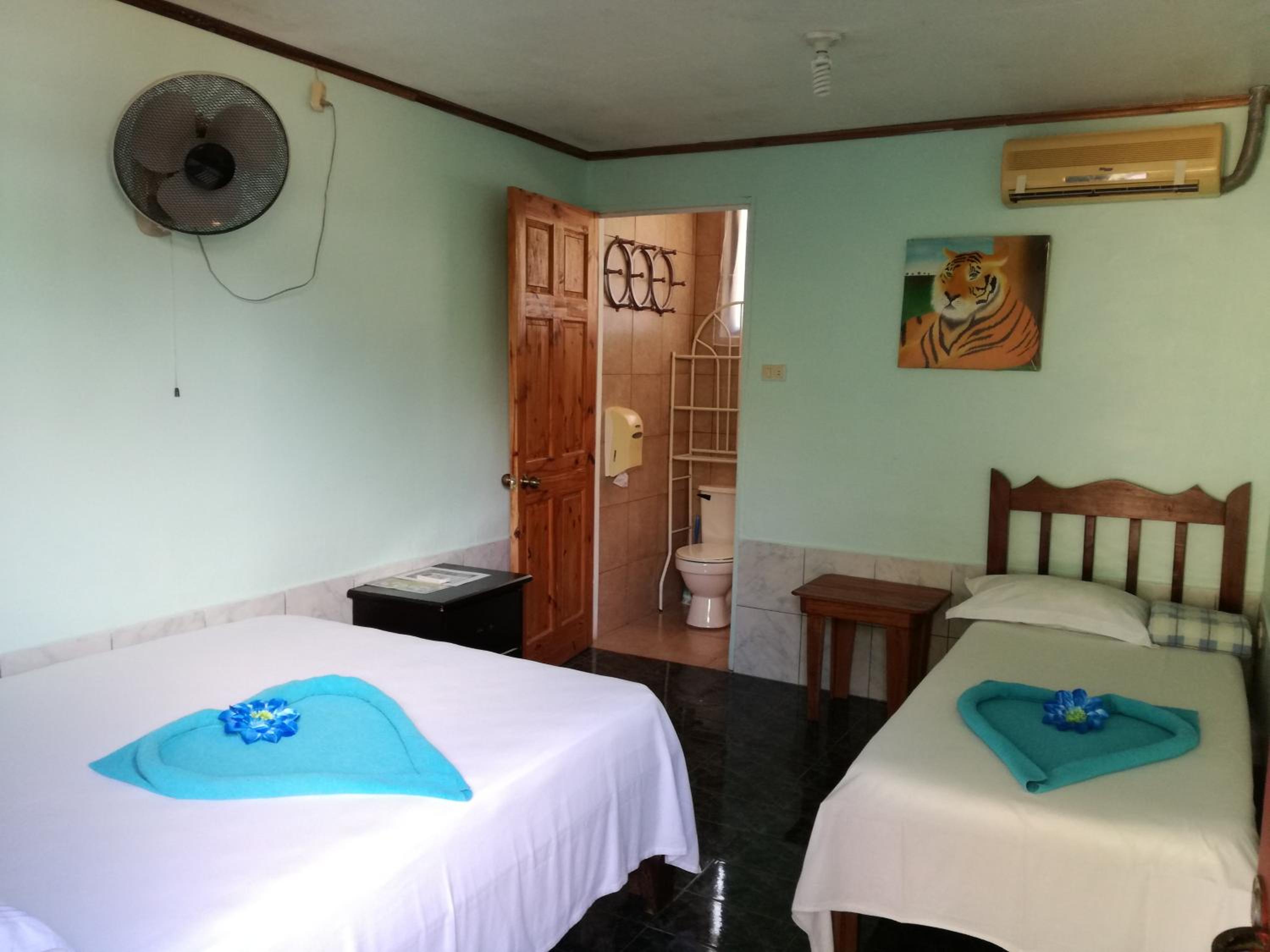 Twin Room with Private Bathroom photo 2