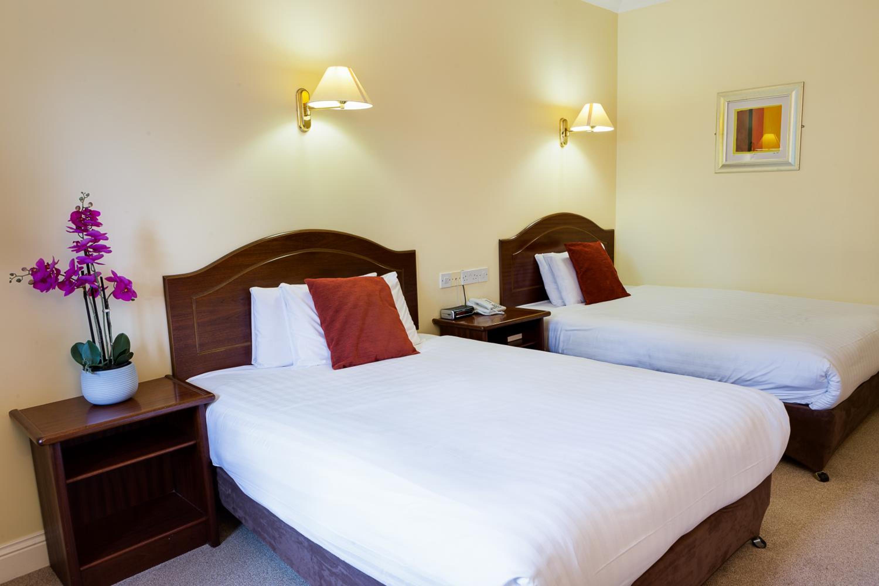Double or Twin Room photo 3