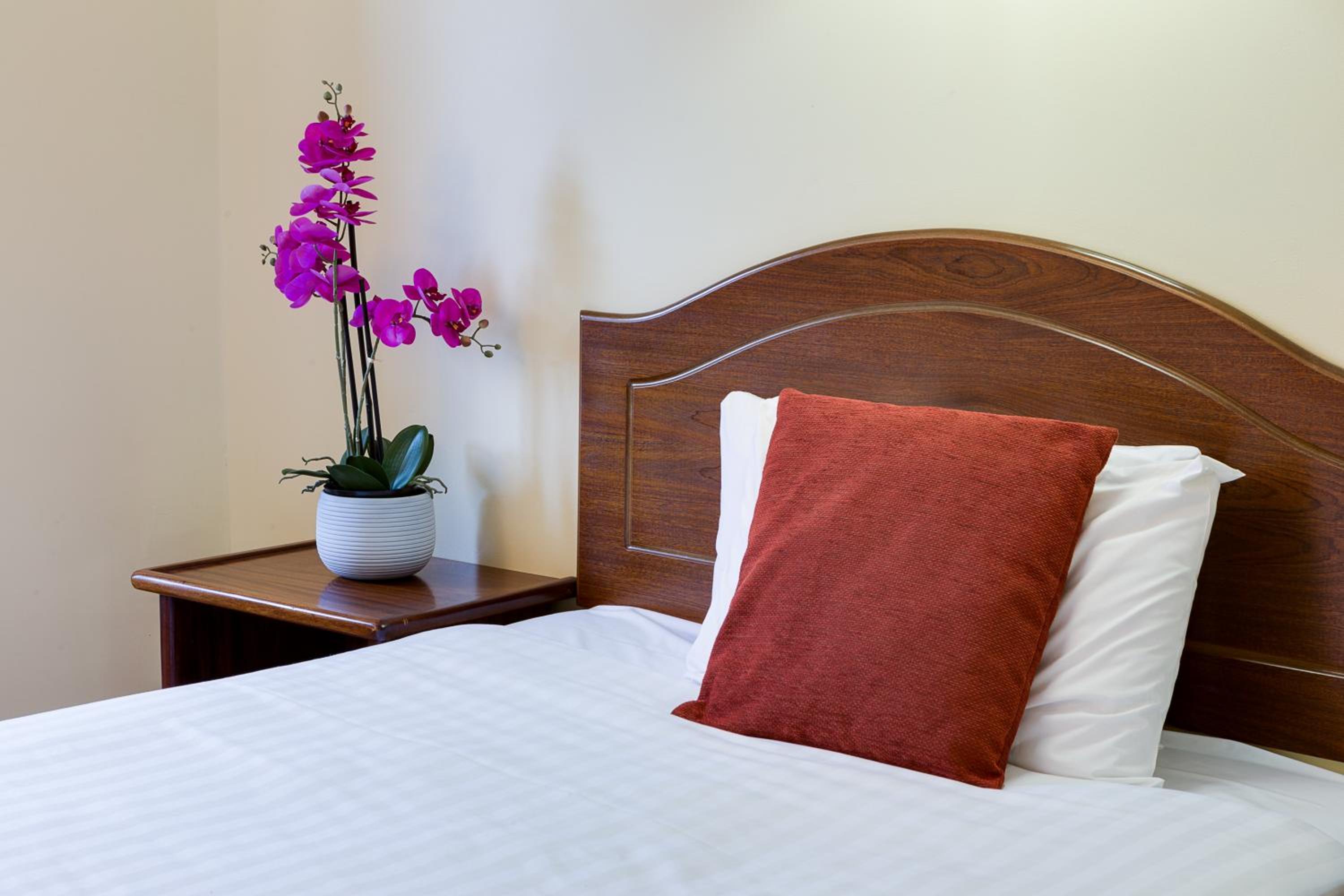 Single Room photo 1