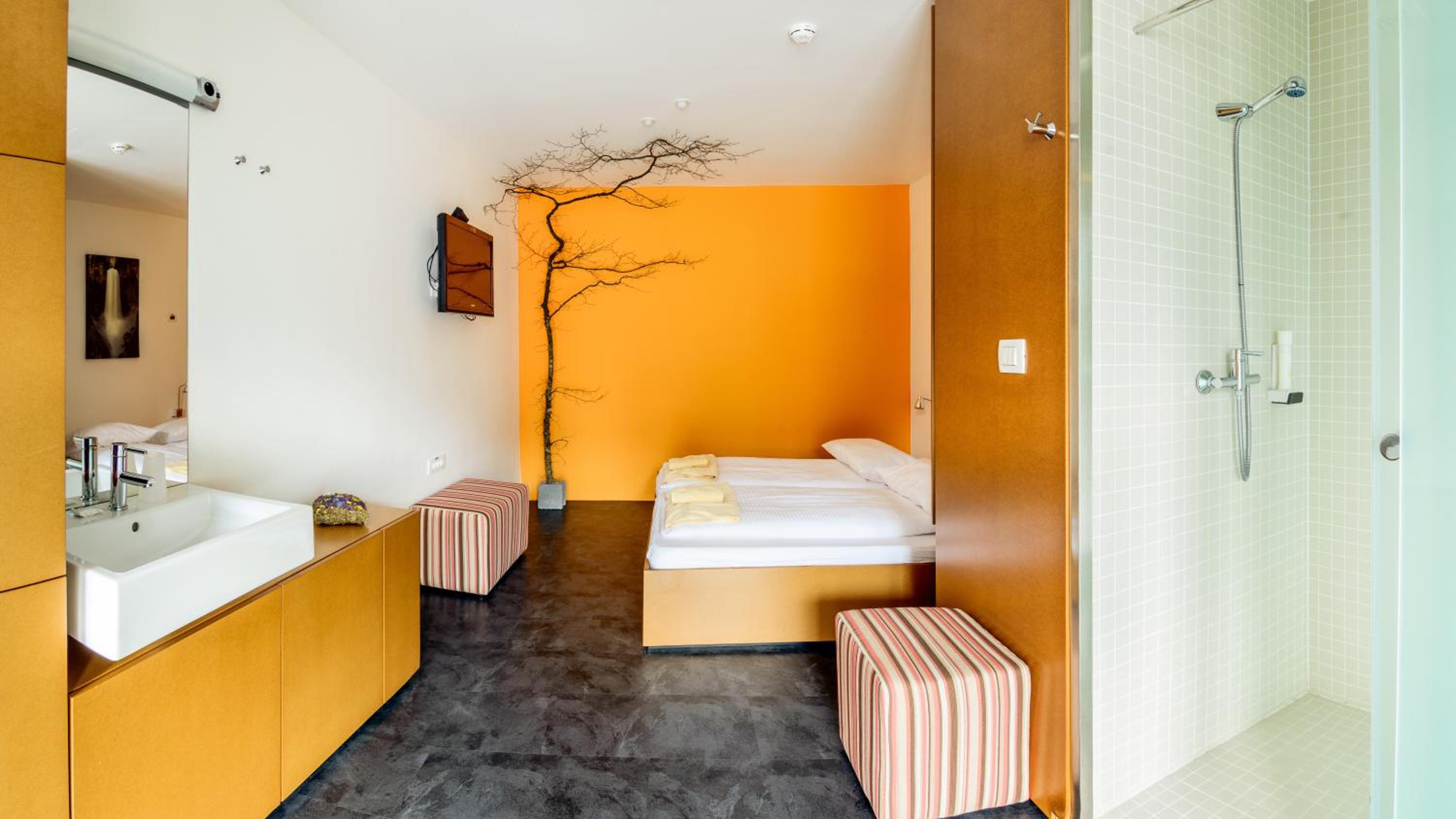Double or Twin Room photo 2