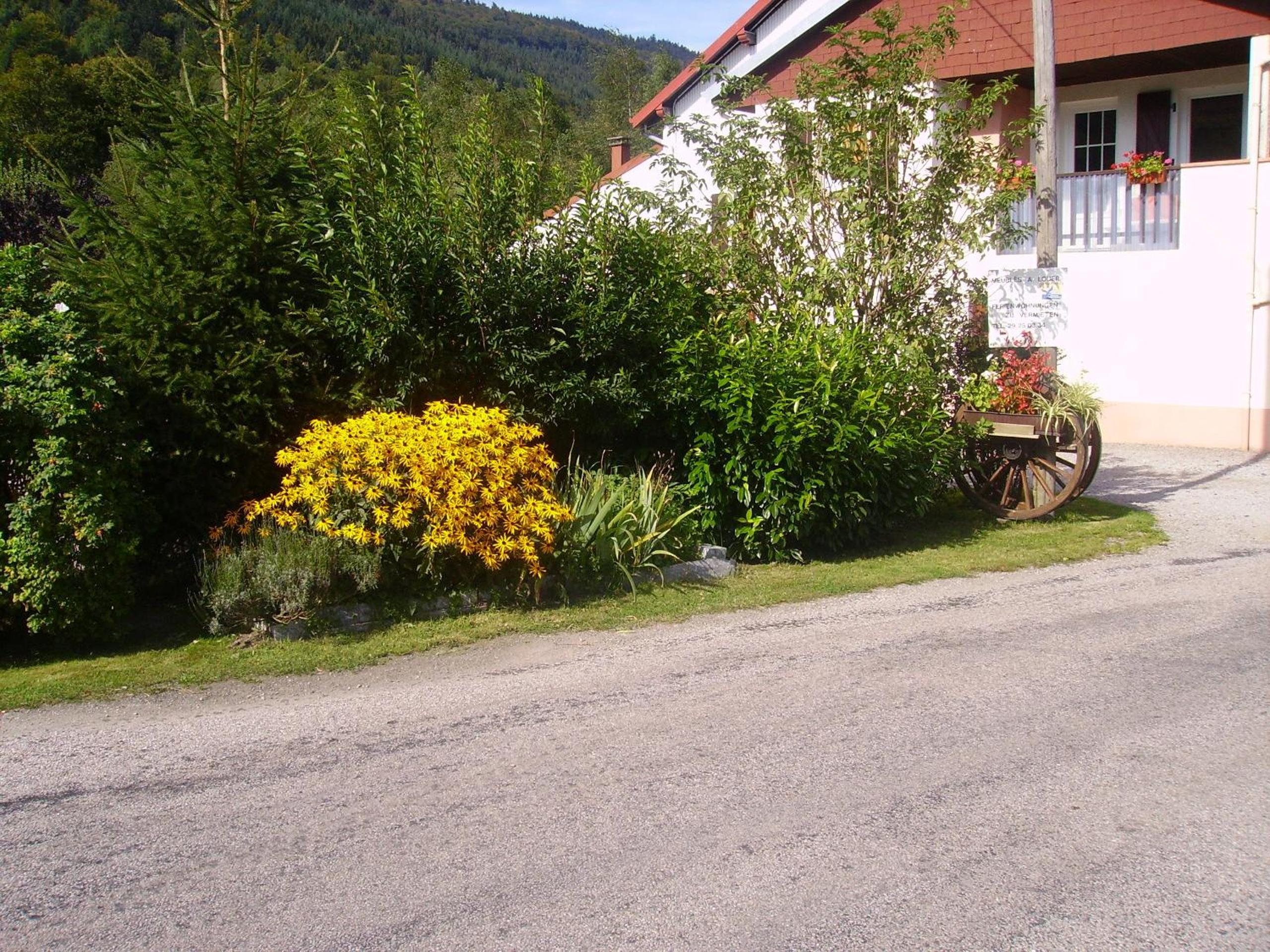 Small House photo 2