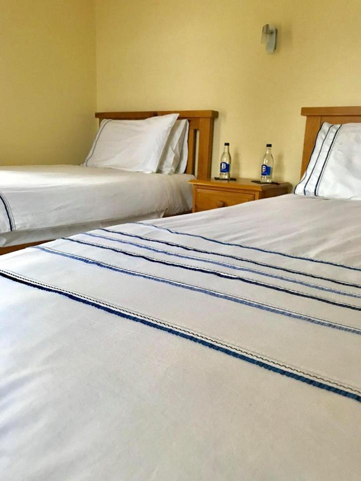 Deluxe Twin Room photo 1