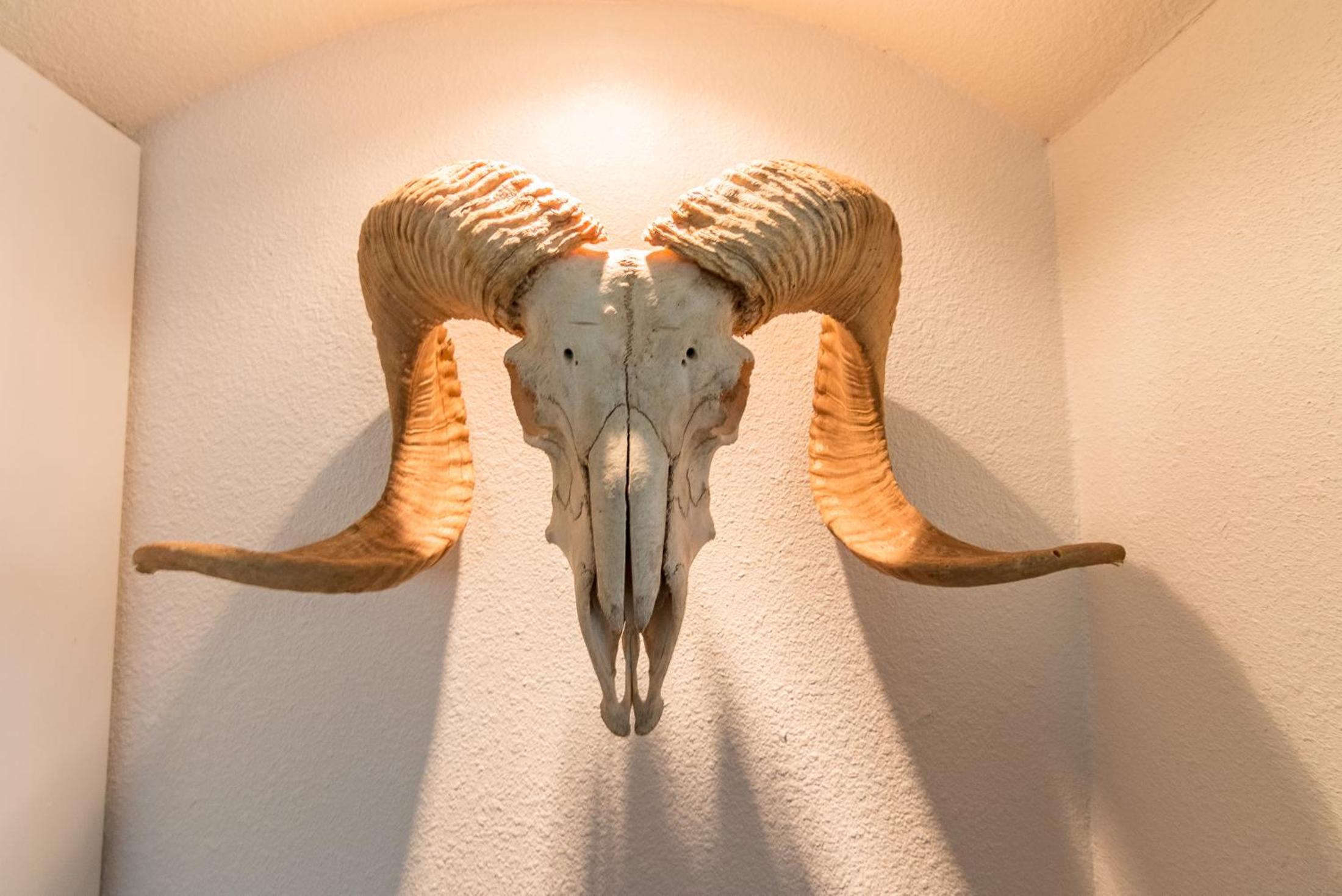 Vacation Home - Photo 25