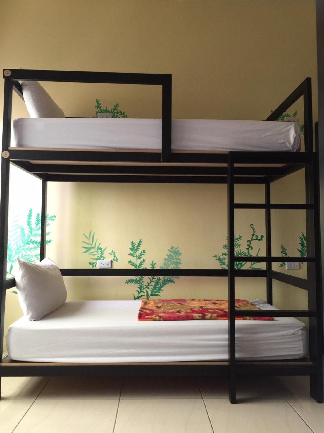 Bunk Bed in Female Dormitory Room photo 2