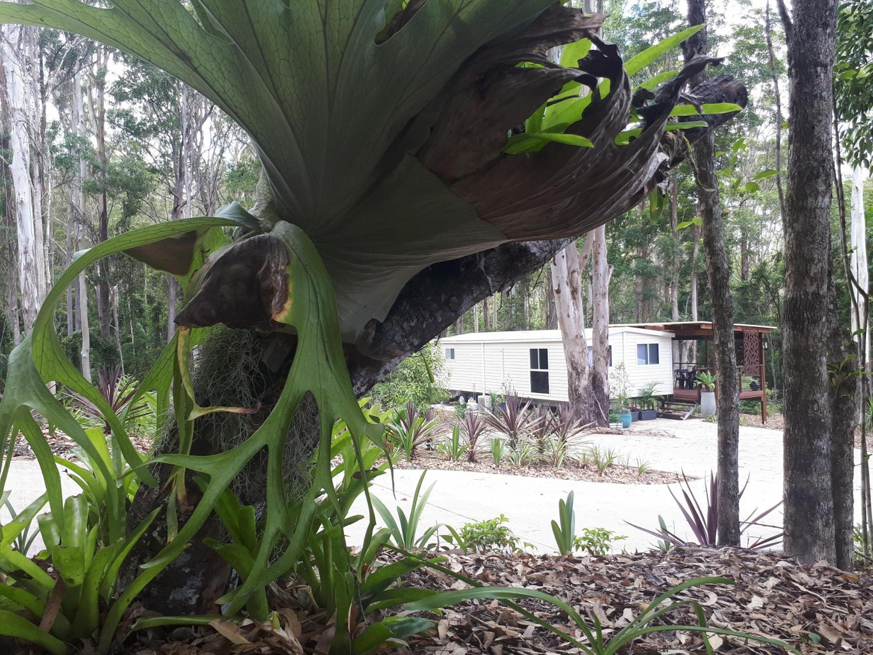 Mobile Home - Photo 7