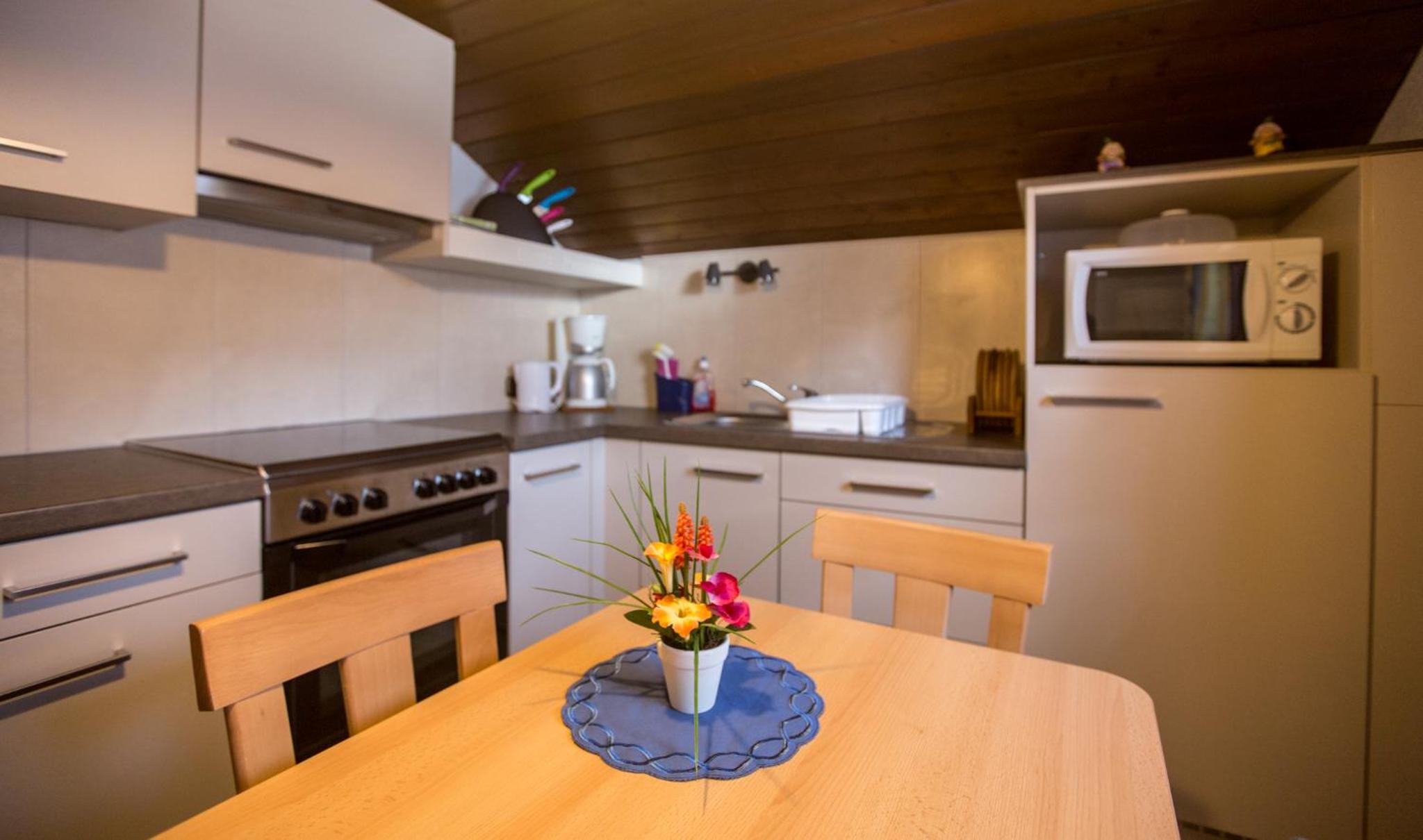 Apartment with Mountain View photo 3