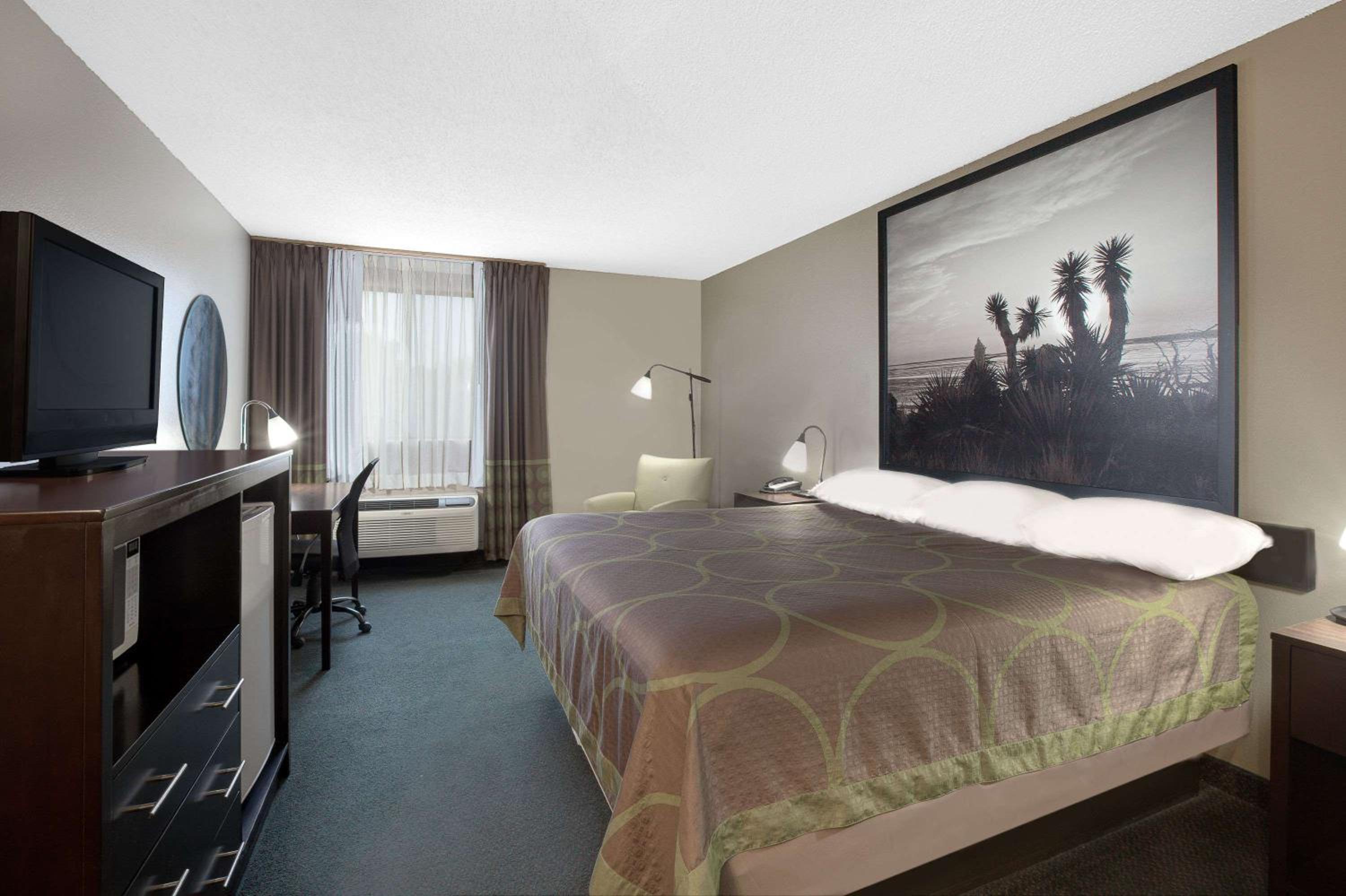 Studio Suite King Rooms with Two King Beds - Non Smoking photo 1