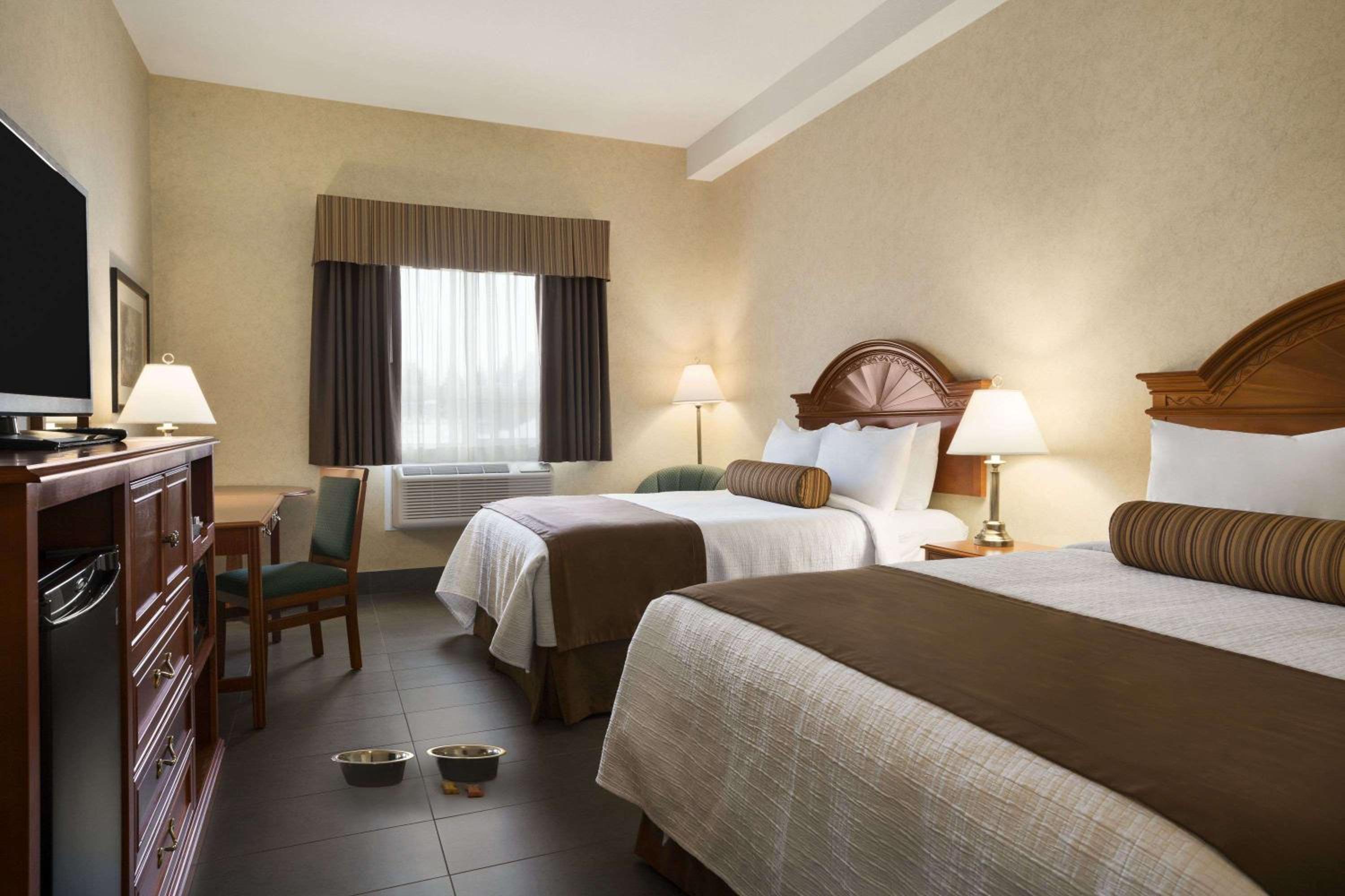 Queen Room with Two Queen Beds -Pet Friendly Non-Smoking - Photo 1