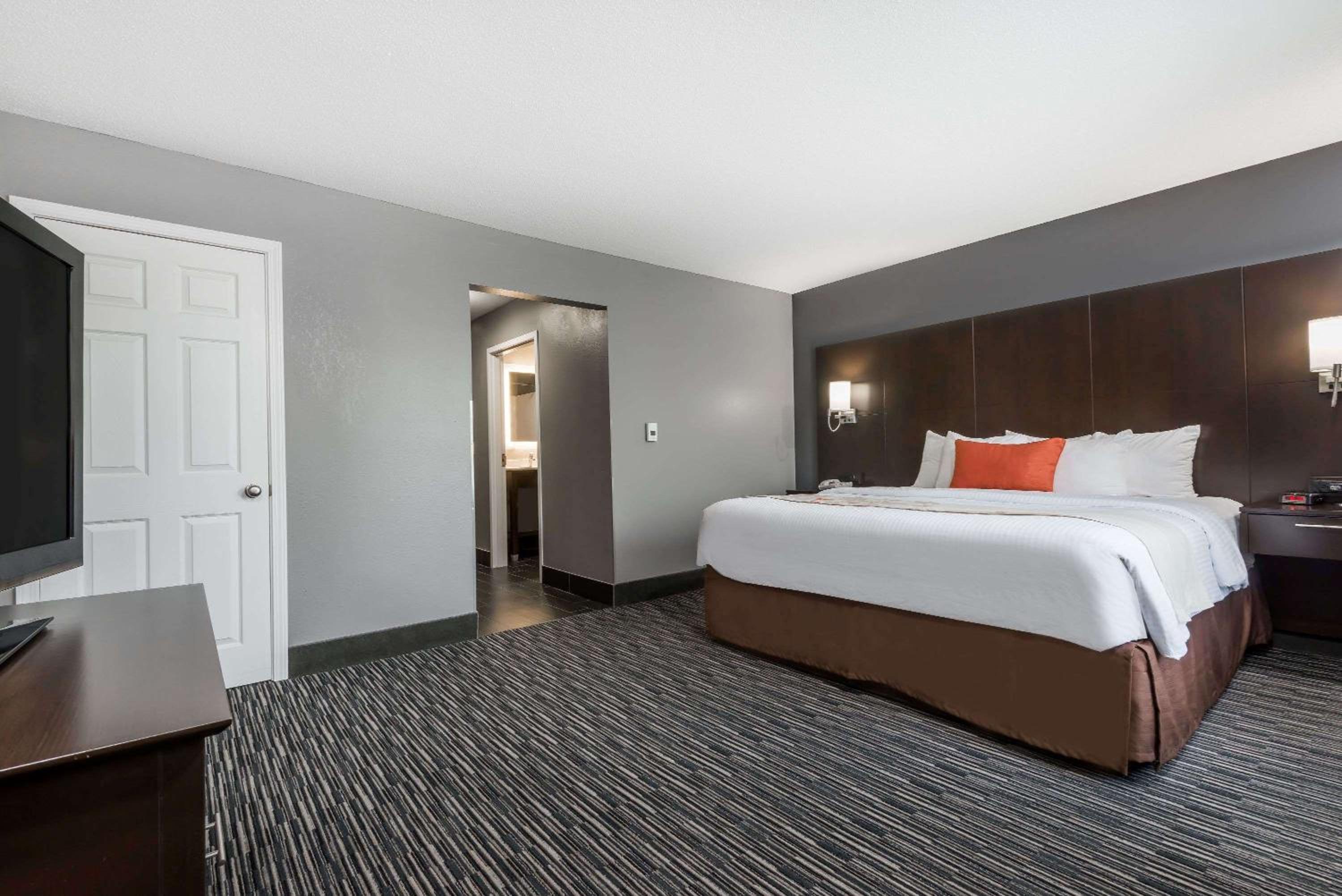 One-Bedroom King Studio Suite - Non-Smoking - Photo 7