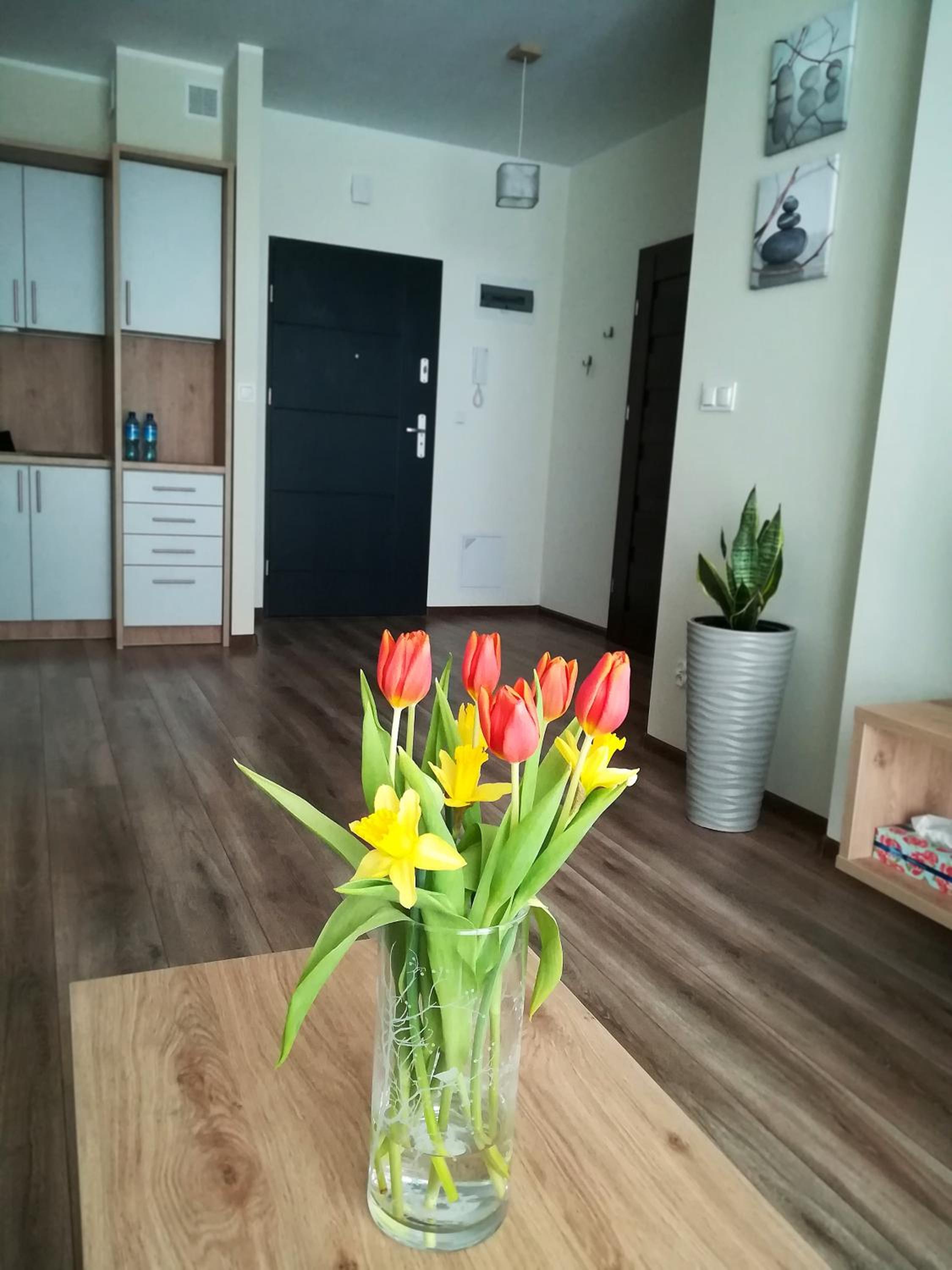 Apartment - Photo 1