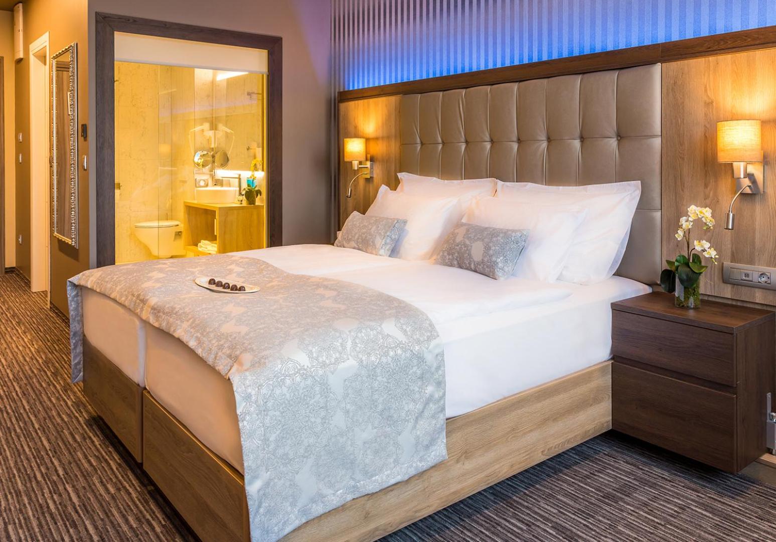 Superior Double or Twin Room photo 3