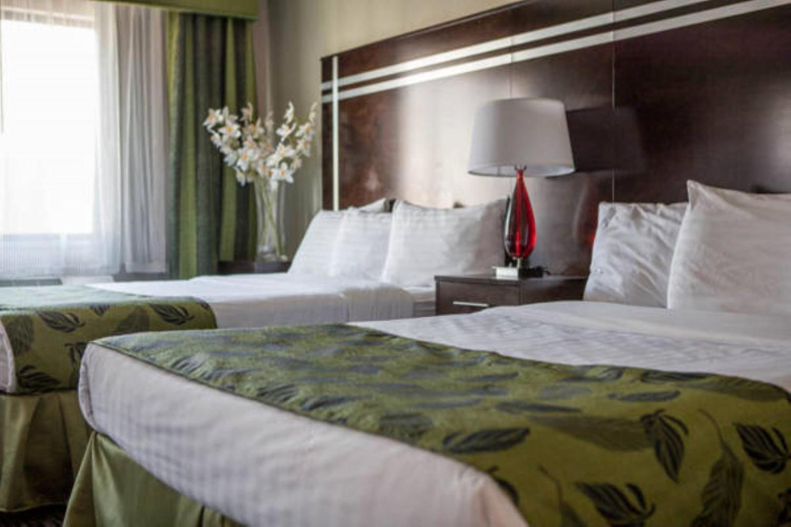 Standard Queen Room with Two Queen Beds photo 1