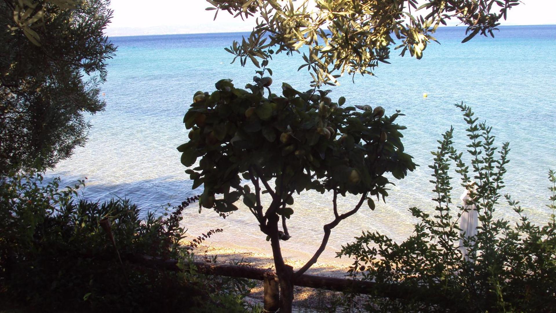 Studio Apartment with Sea View photo 2