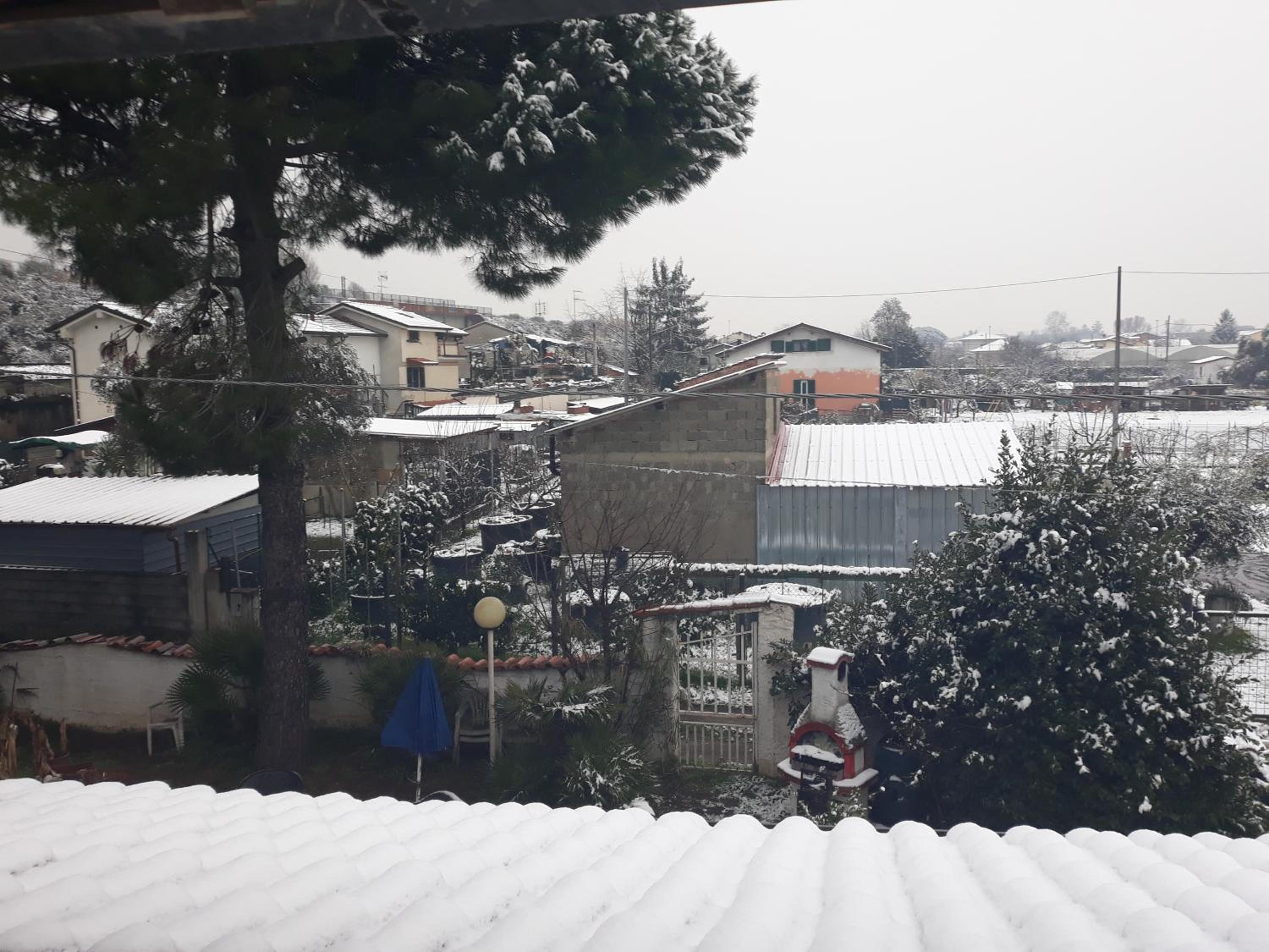 Apartment With Garden View photo 2