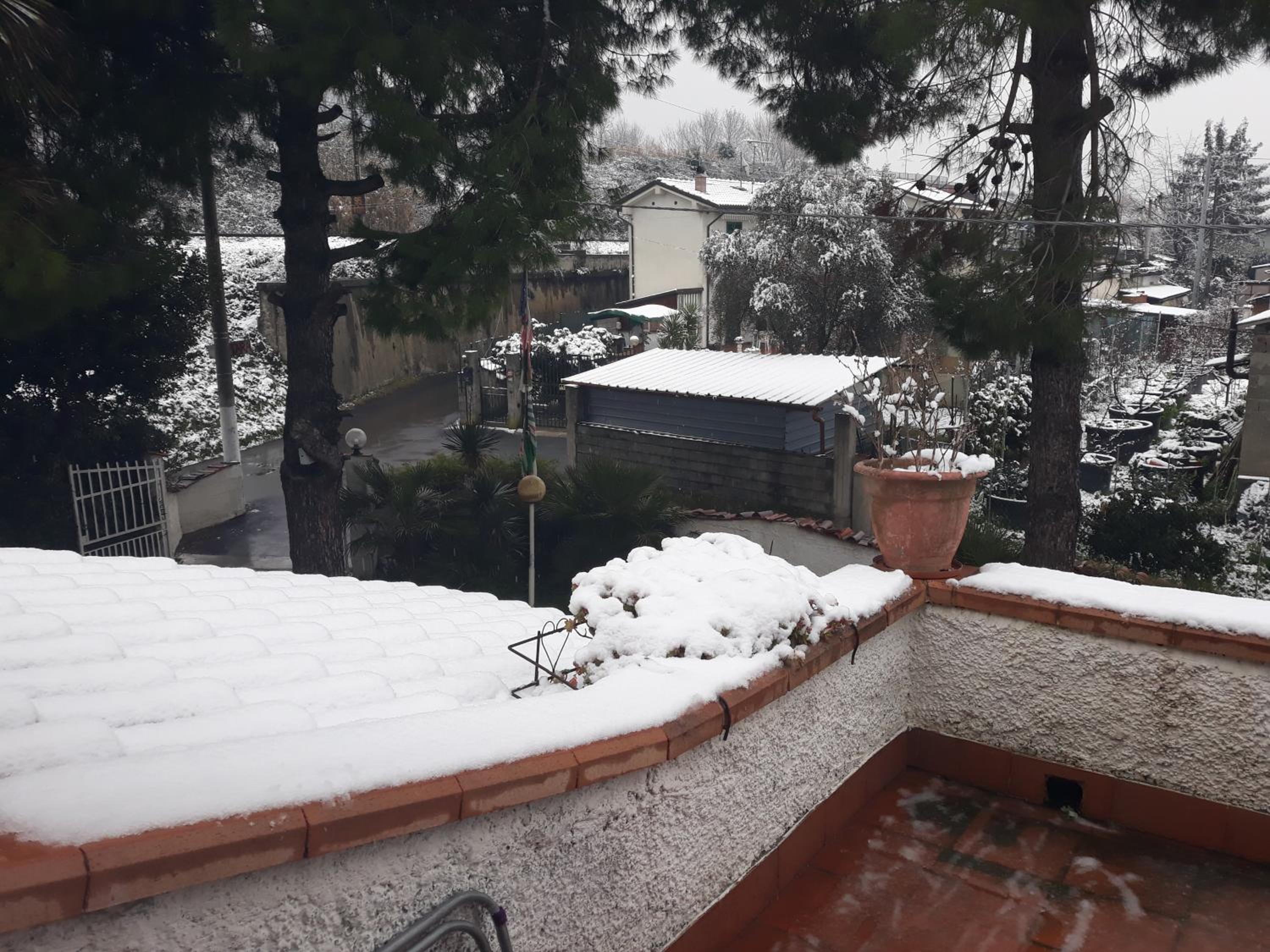 Apartment With Garden View photo 3