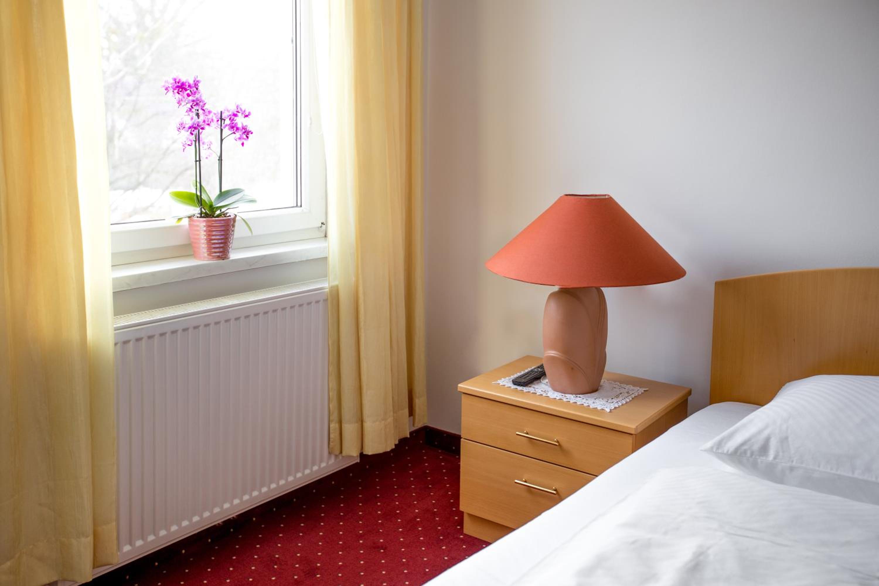 Single Room with Garden View photo 1