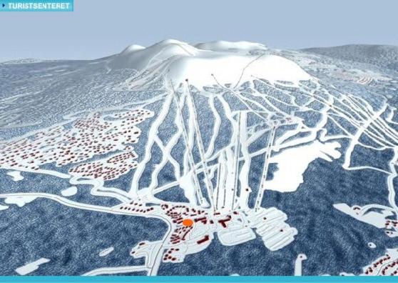 Apartment with Mountain View photo 3