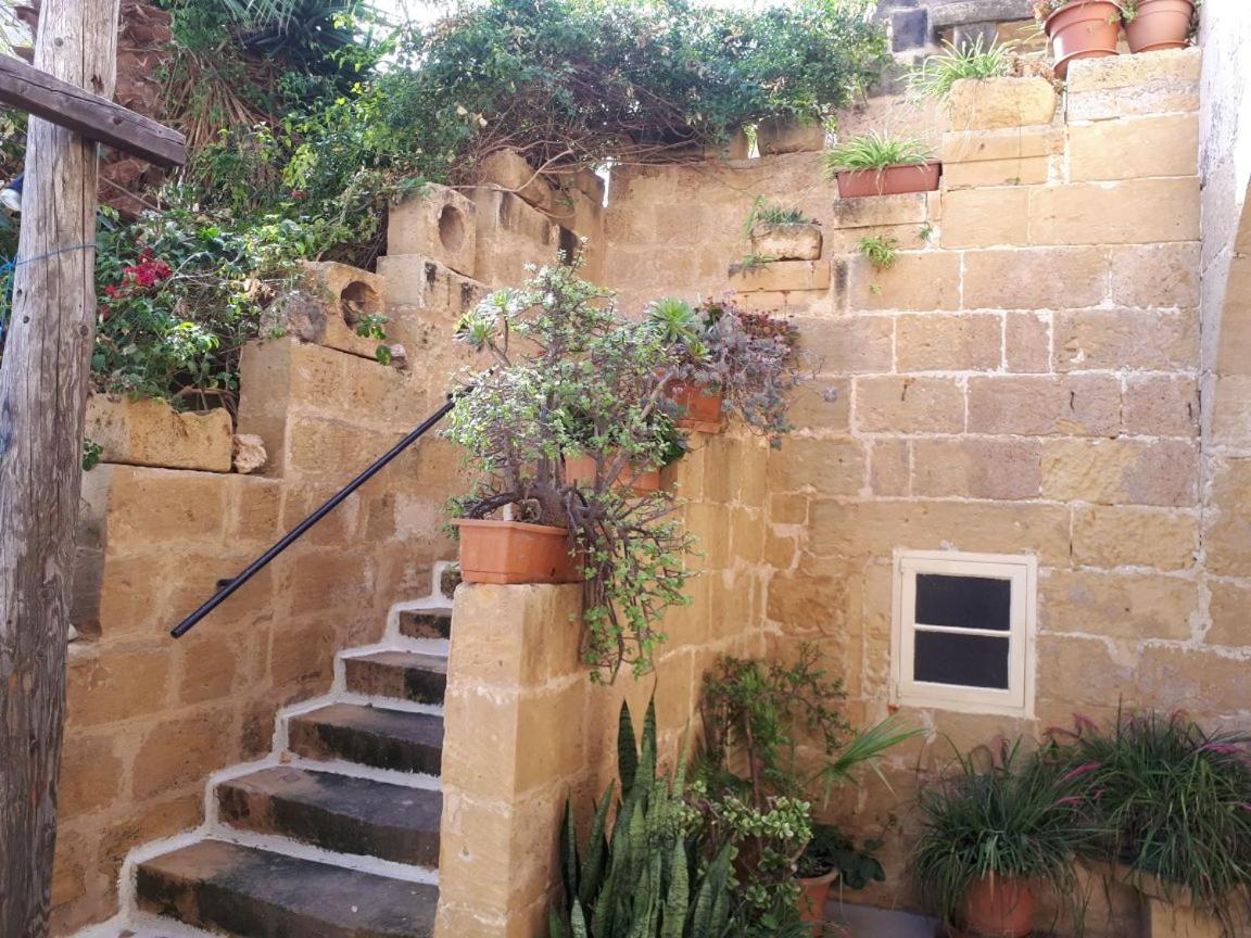 Superior Villa photo 3