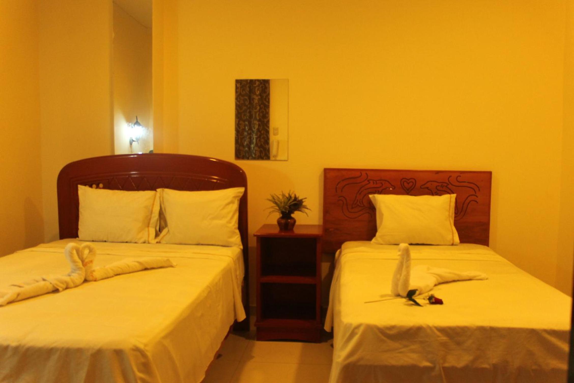 Twin Room photo 3