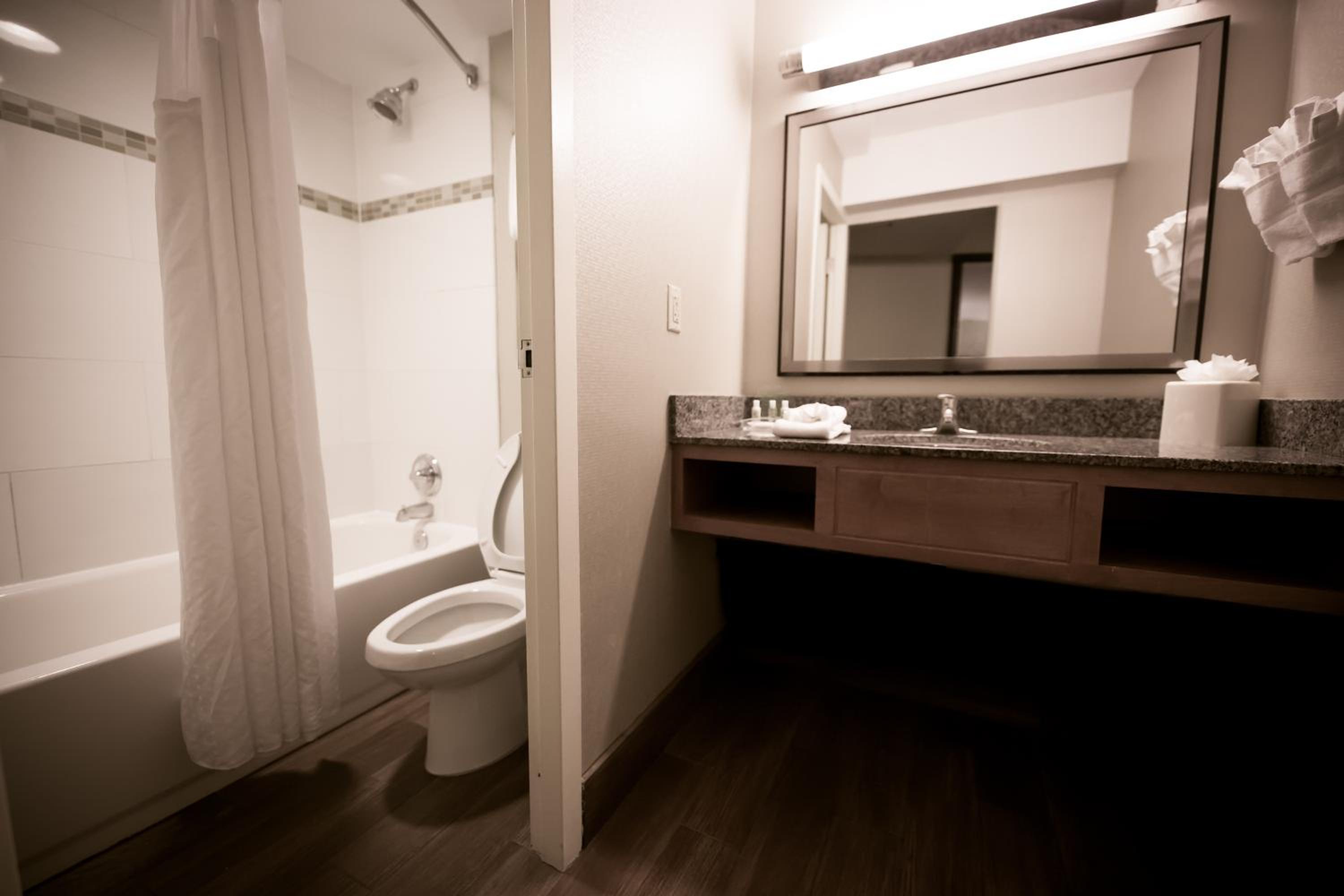 King Suite With Sofa Bed - Hearing Accessible photo 3