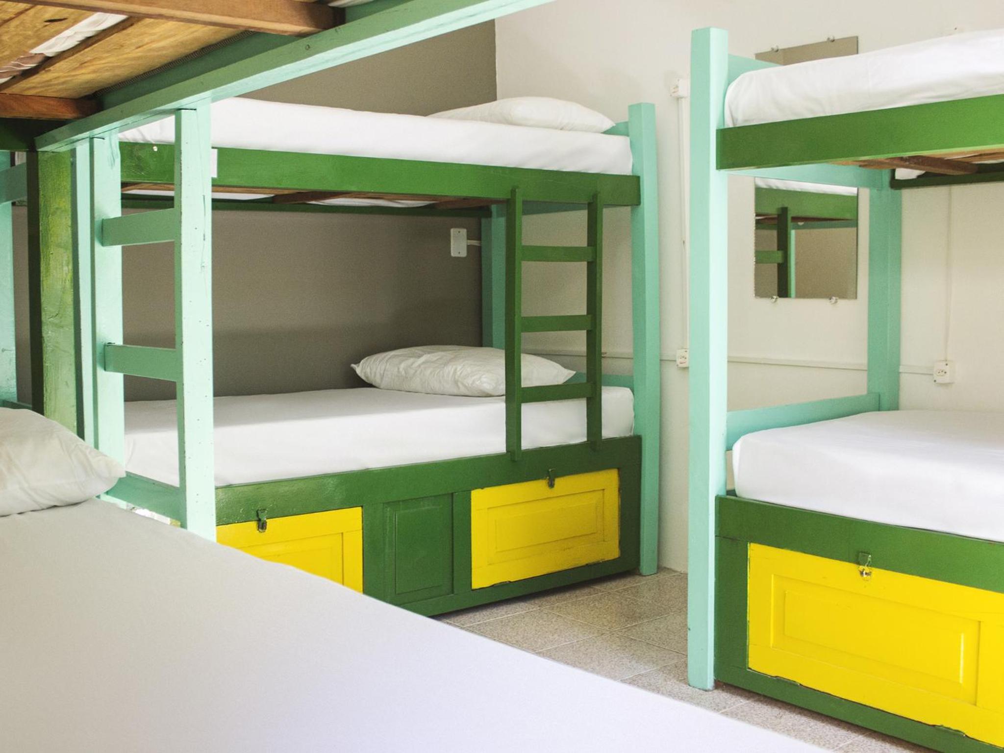 Single Bed in Mixed Dormitory Room photo 1