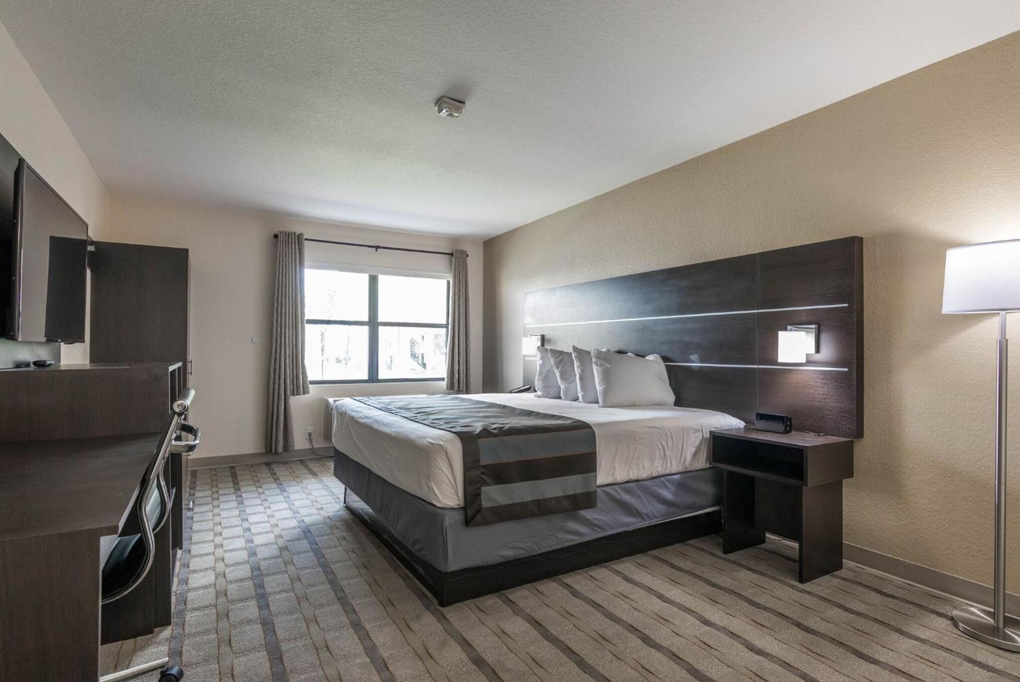 King Room  with Roll In Shower - Mobility/Hearing Impaired/Non-Smoking - Photo 4