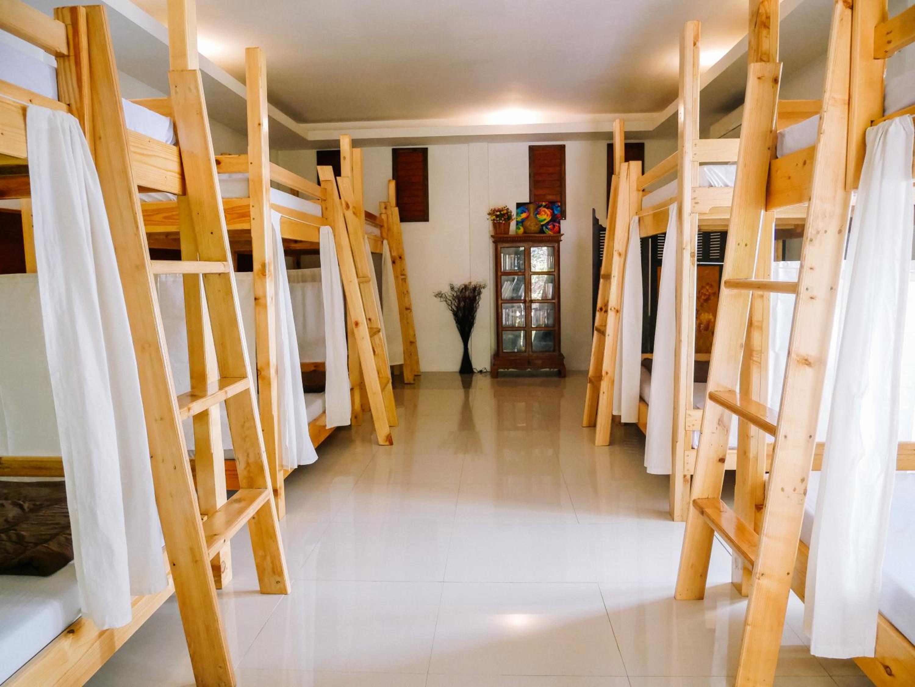 Bunk Bed in Mixed Dormitory Room photo 1