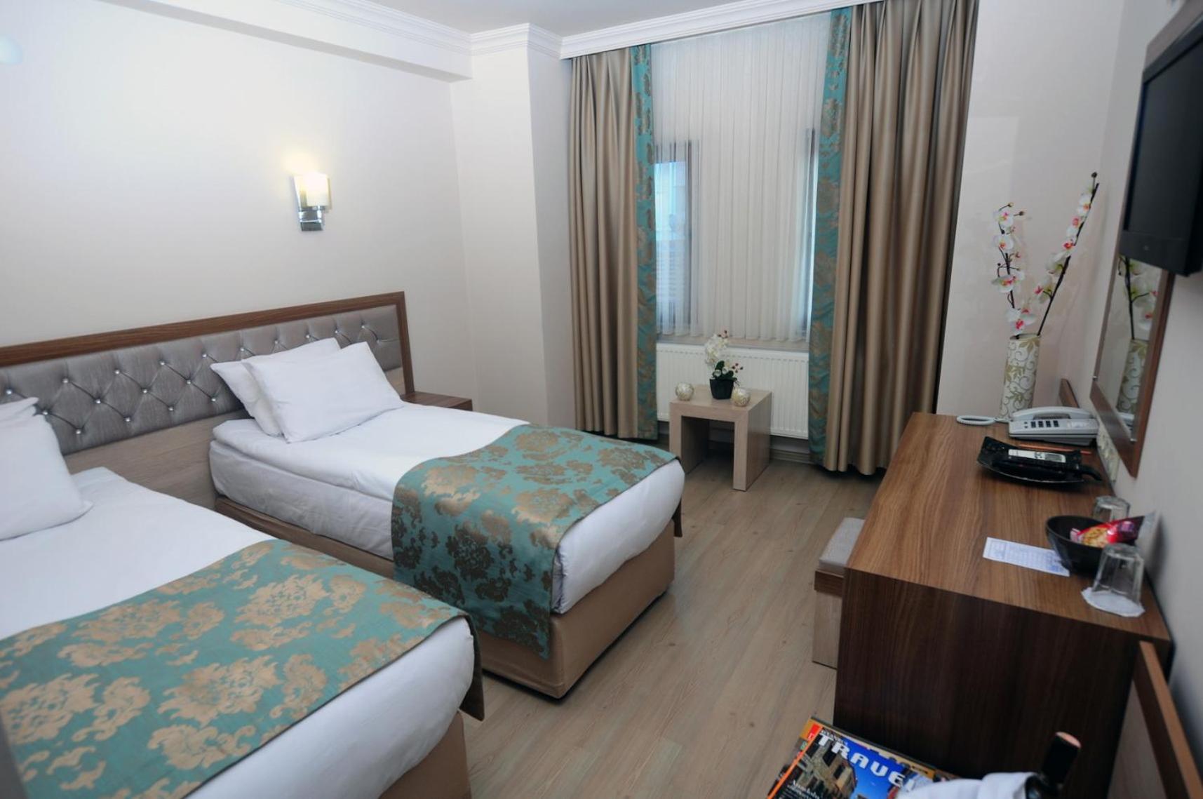 Double or Twin Room photo 3