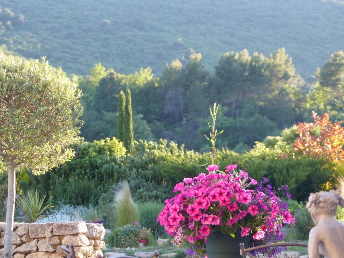 Double Room with Garden View photo 3