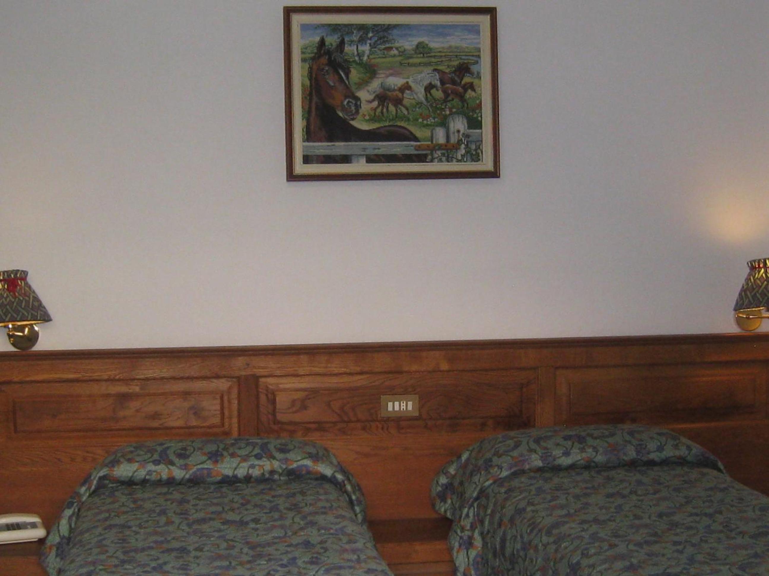 Double or Twin Room - Photo 5