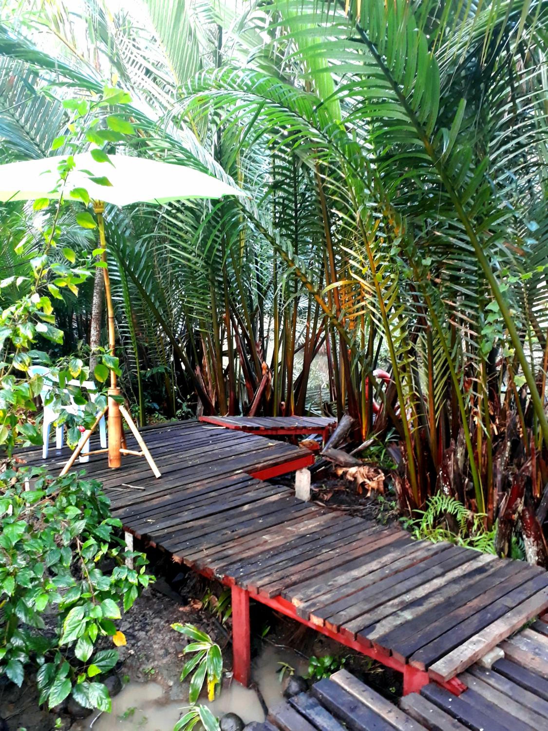 King Room with Garden View - Photo 40