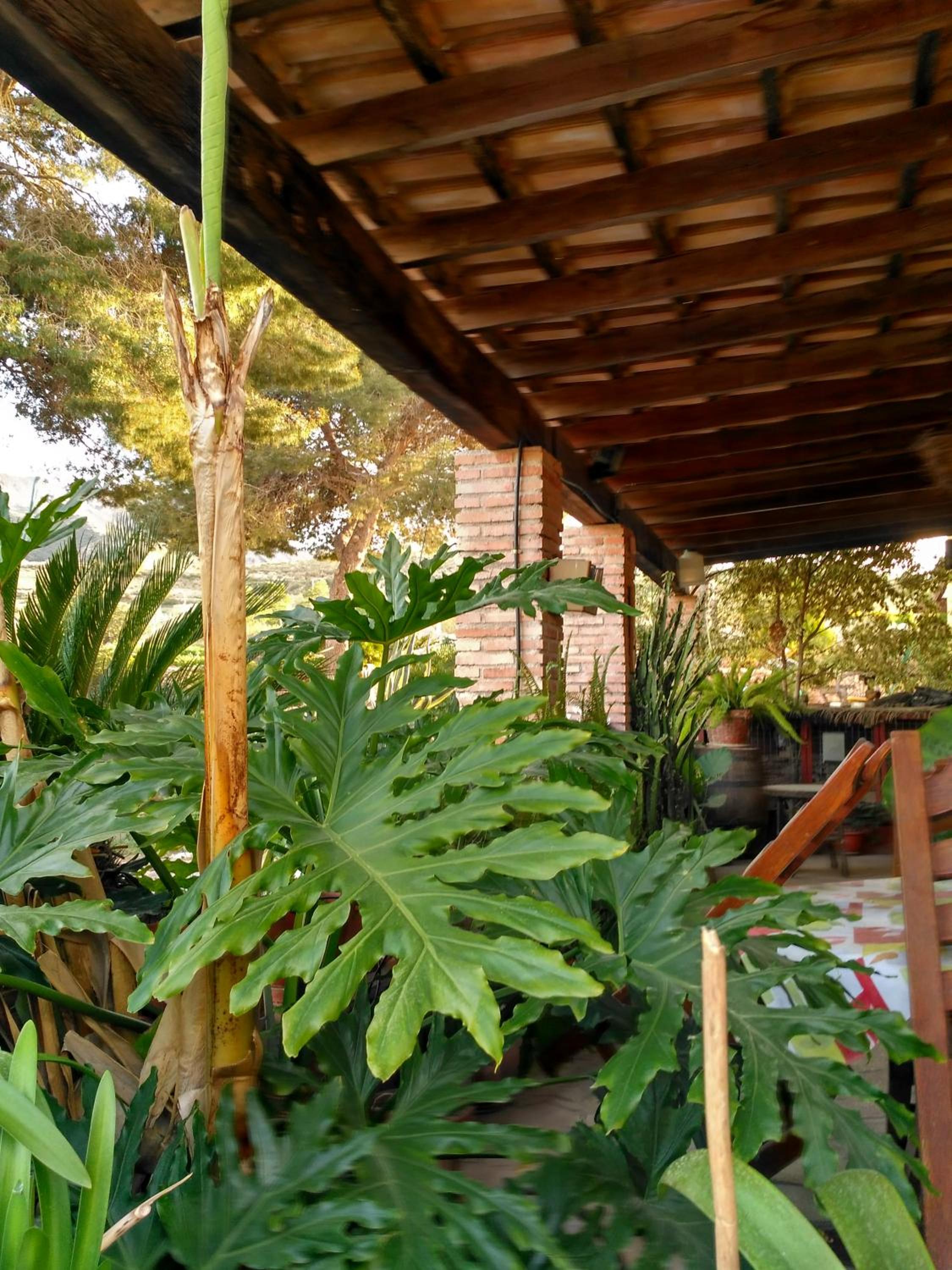 Five-Bedroom House photo 3