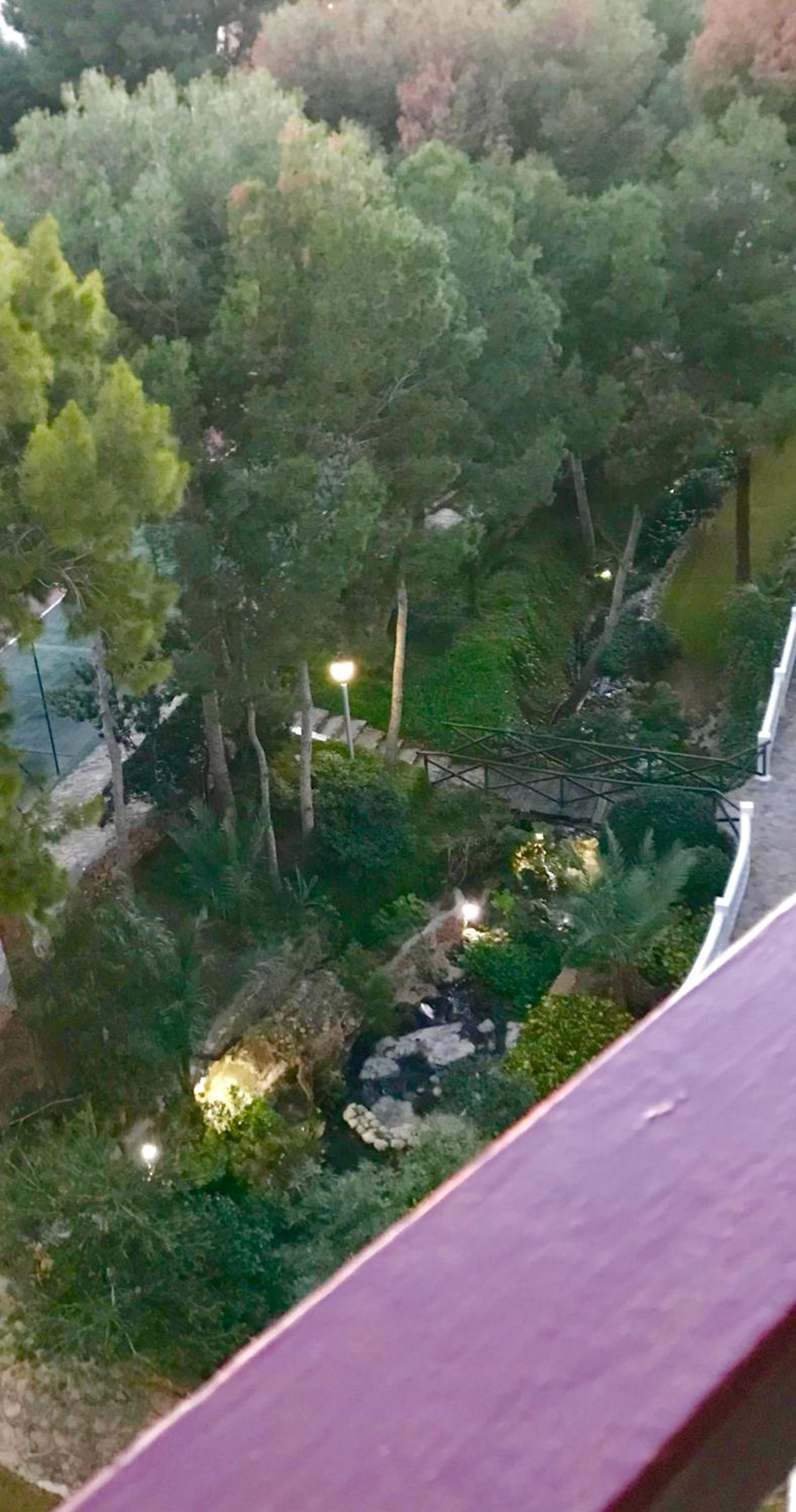 Apartment with Garden View - Photo 19