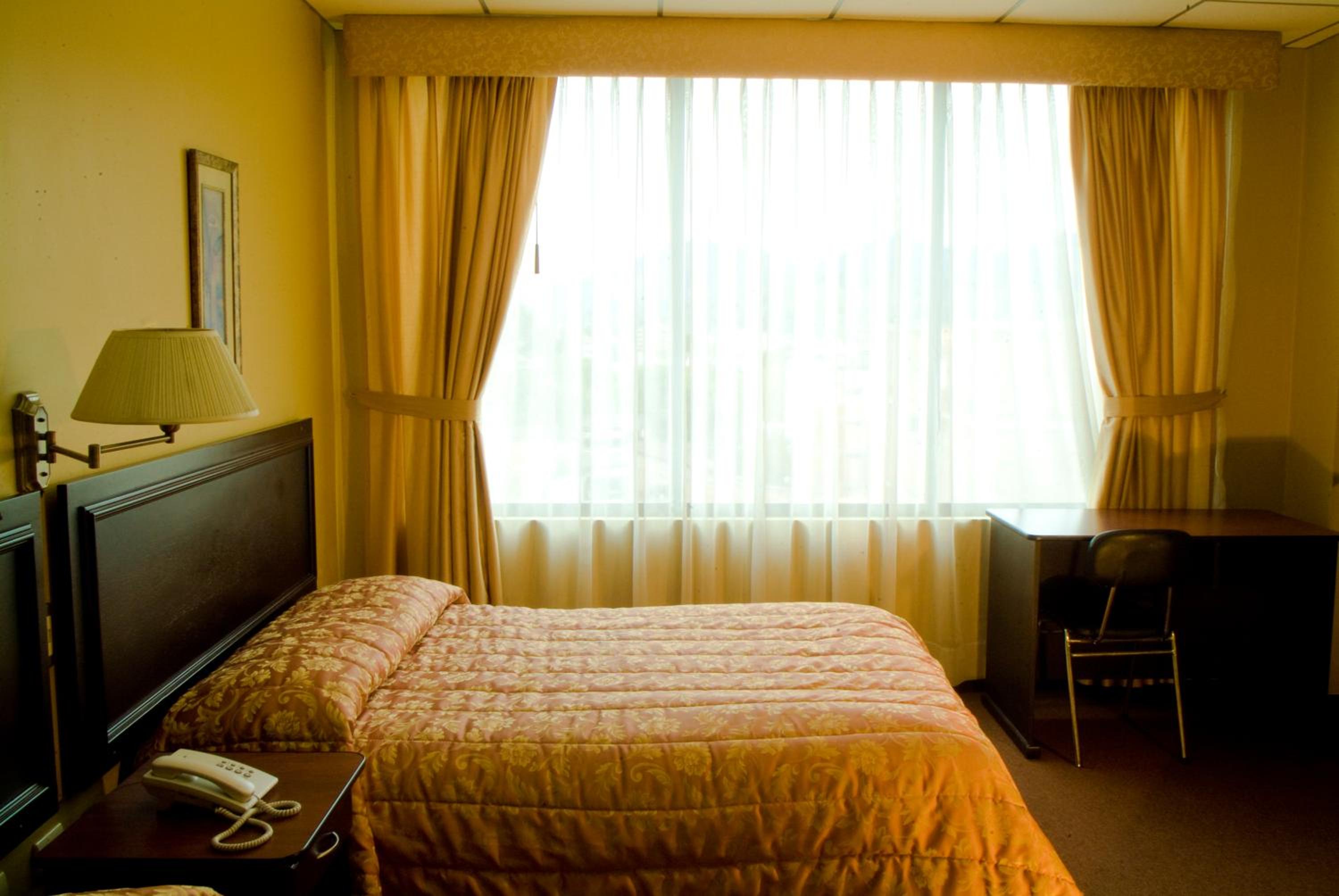 Double or Twin Room photo 3