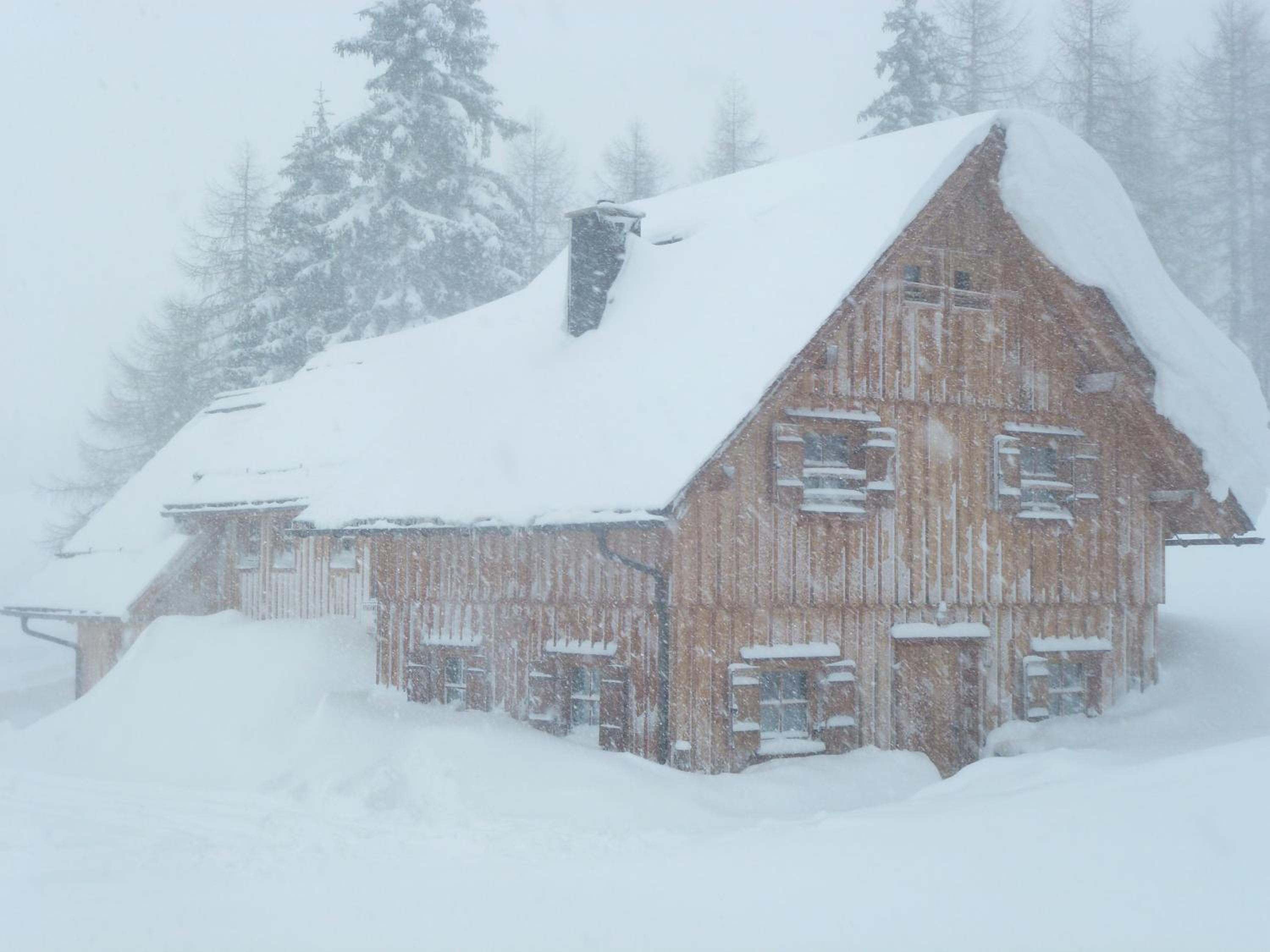 One-Bedroom Chalet photo 2