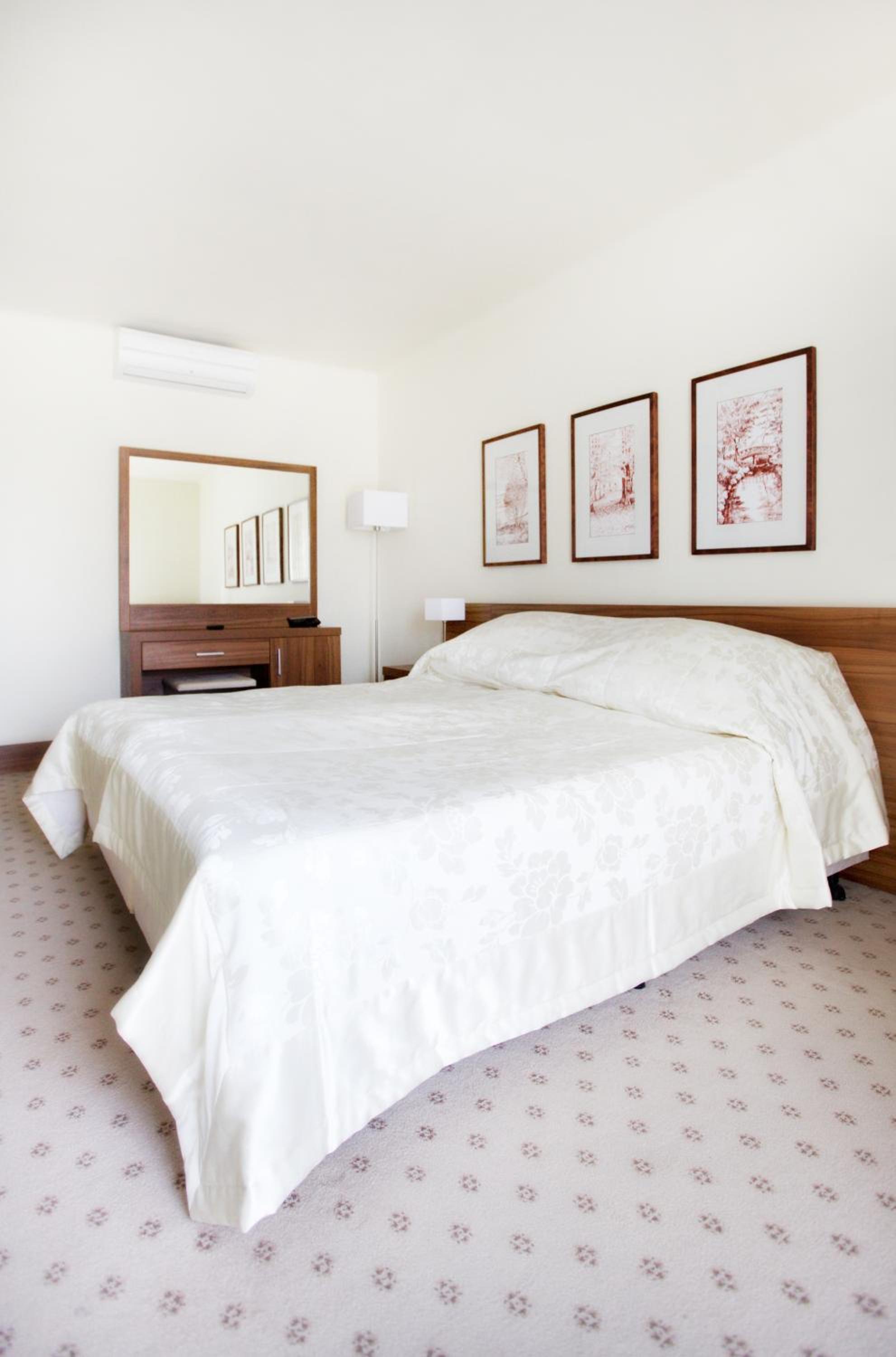 Suite - Photo 1